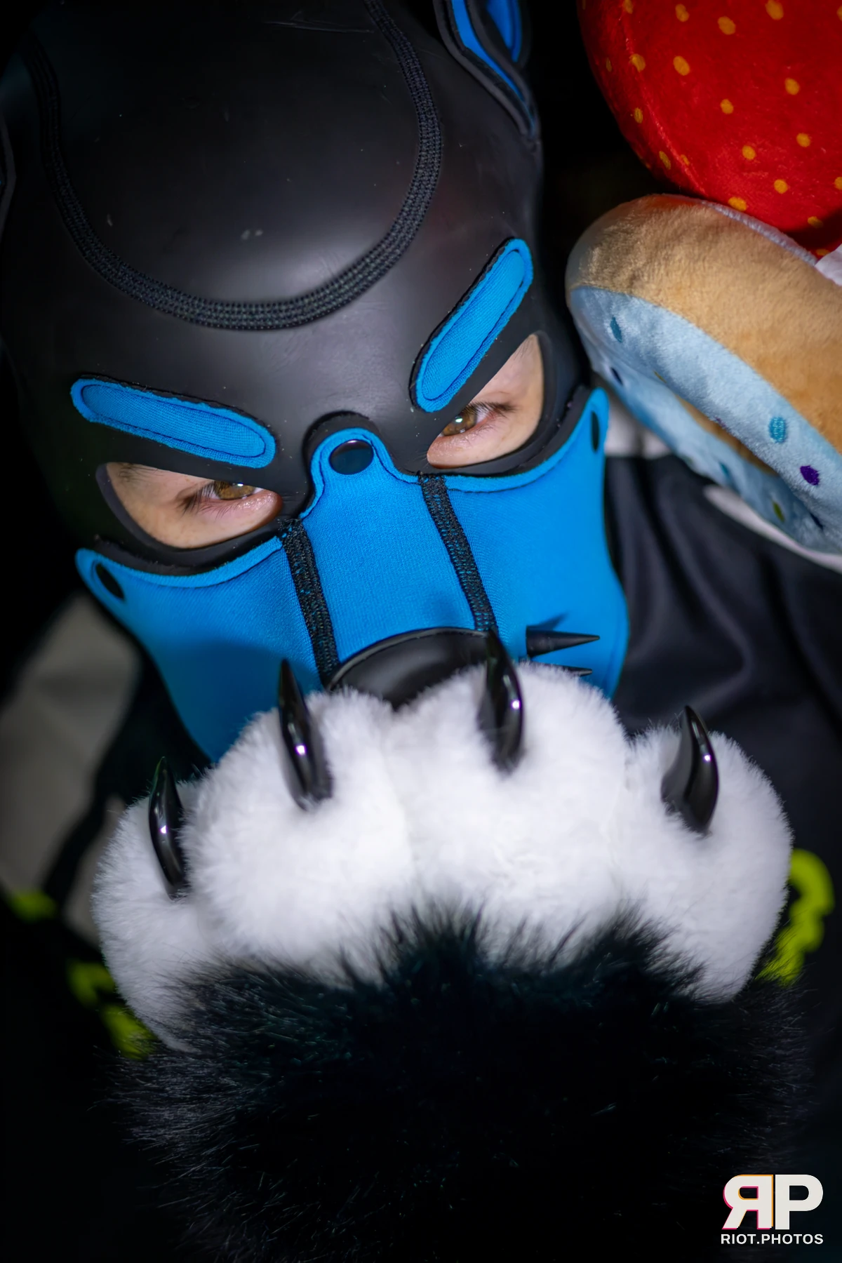 Soap Lyena — furry & pup photography by Fluffy Riot — photo 17