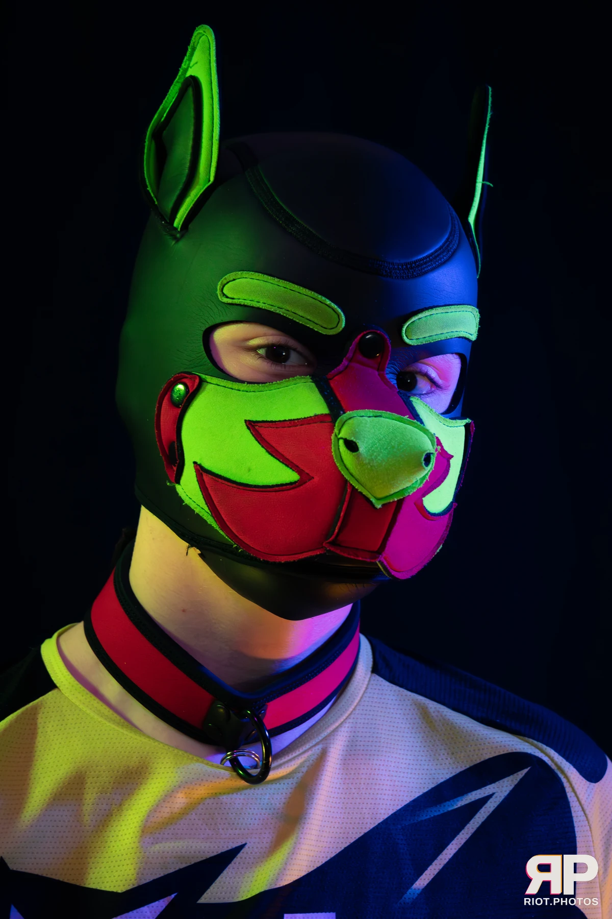 Neon Puppy — furry & pup photography by Fluffy Riot — photo 6