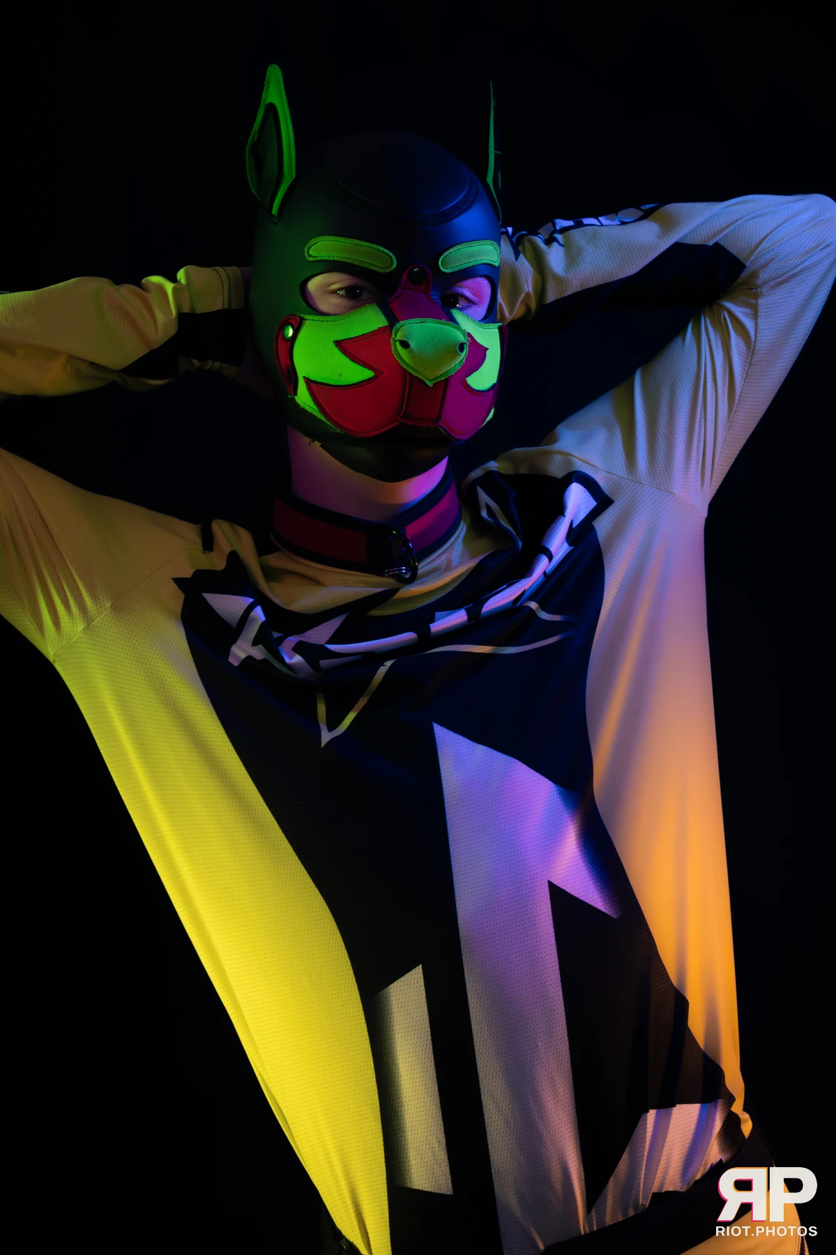 Neon Puppy — furry & pup photography by Fluffy Riot — photo 8