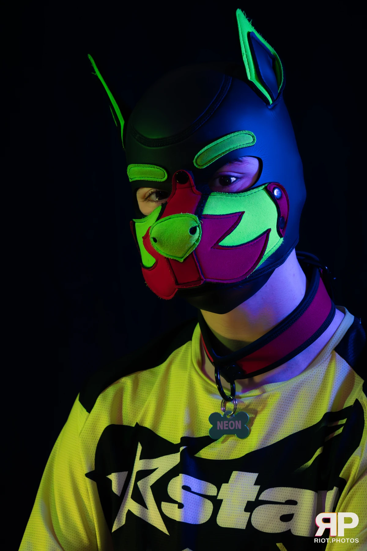 Neon Puppy — furry & pup photography by Fluffy Riot — photo 19