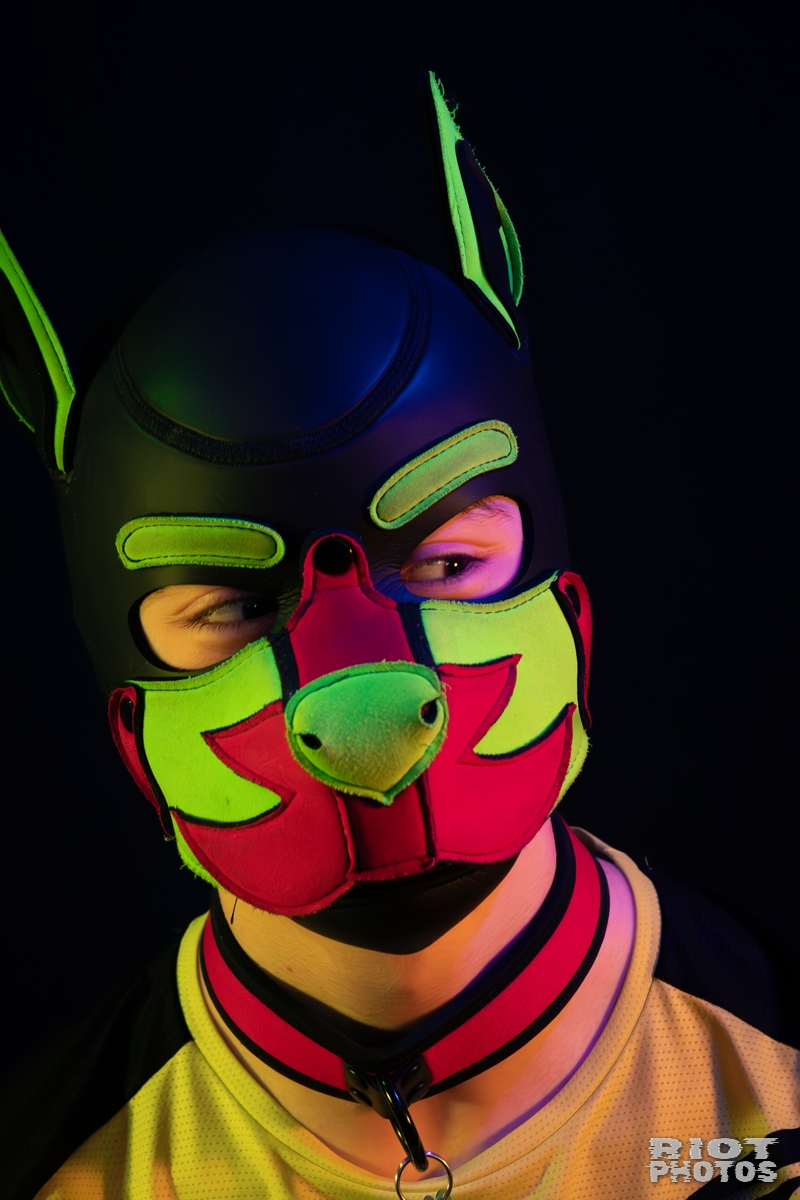 Neon Puppy