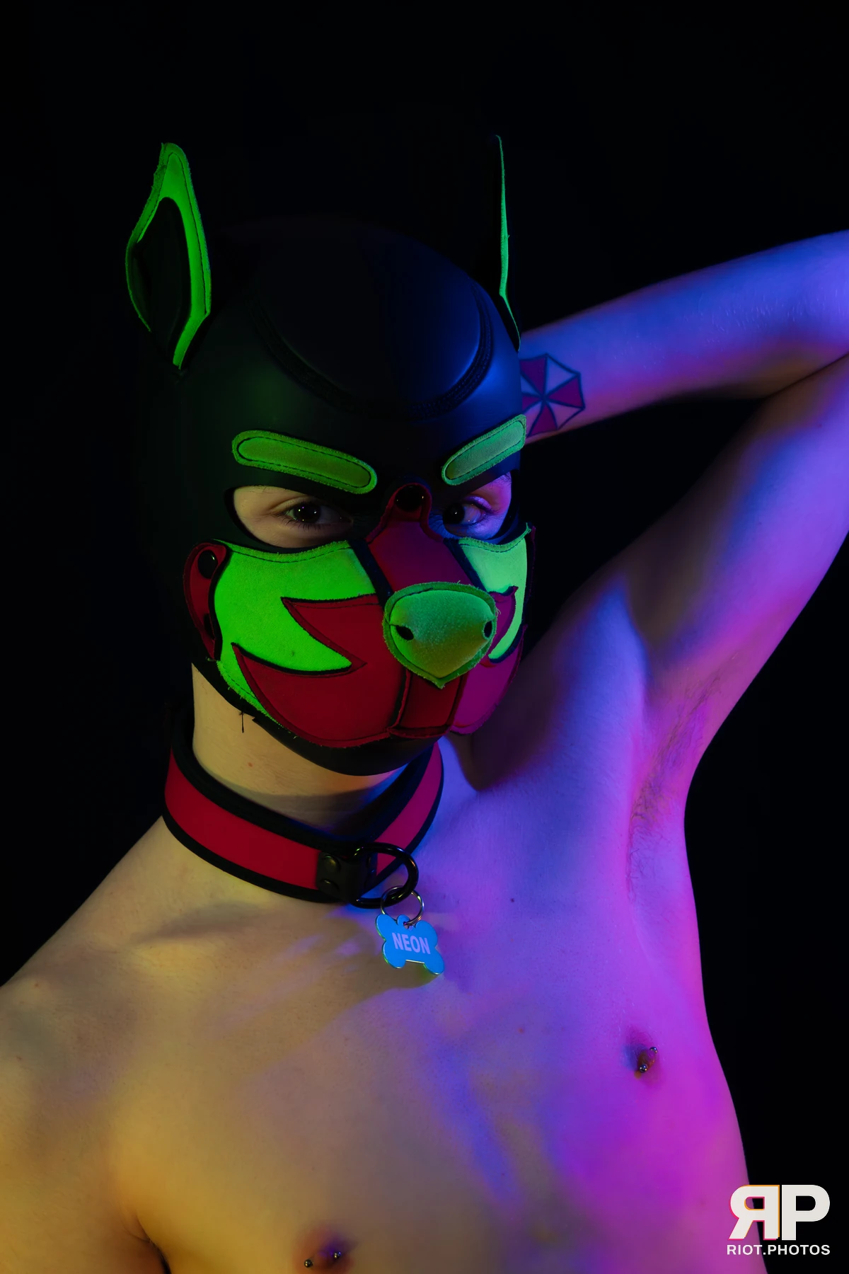Neon Puppy — furry & pup photography by Fluffy Riot — photo 30