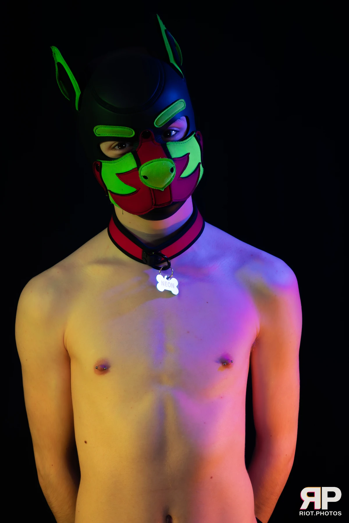 Neon Puppy — furry & pup photography by Fluffy Riot — photo 32