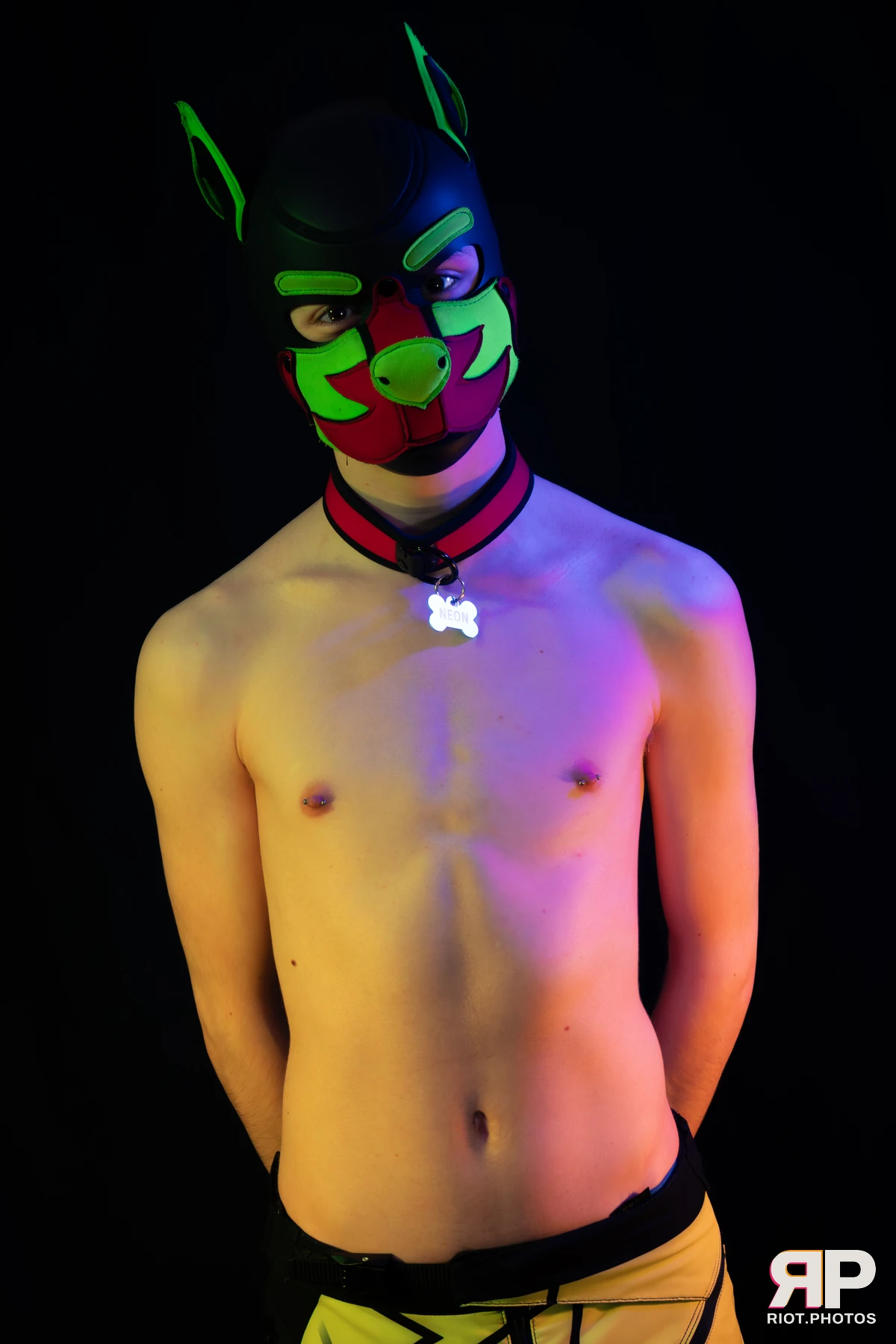 Neon Puppy — furry & pup photography by Fluffy Riot — photo 33