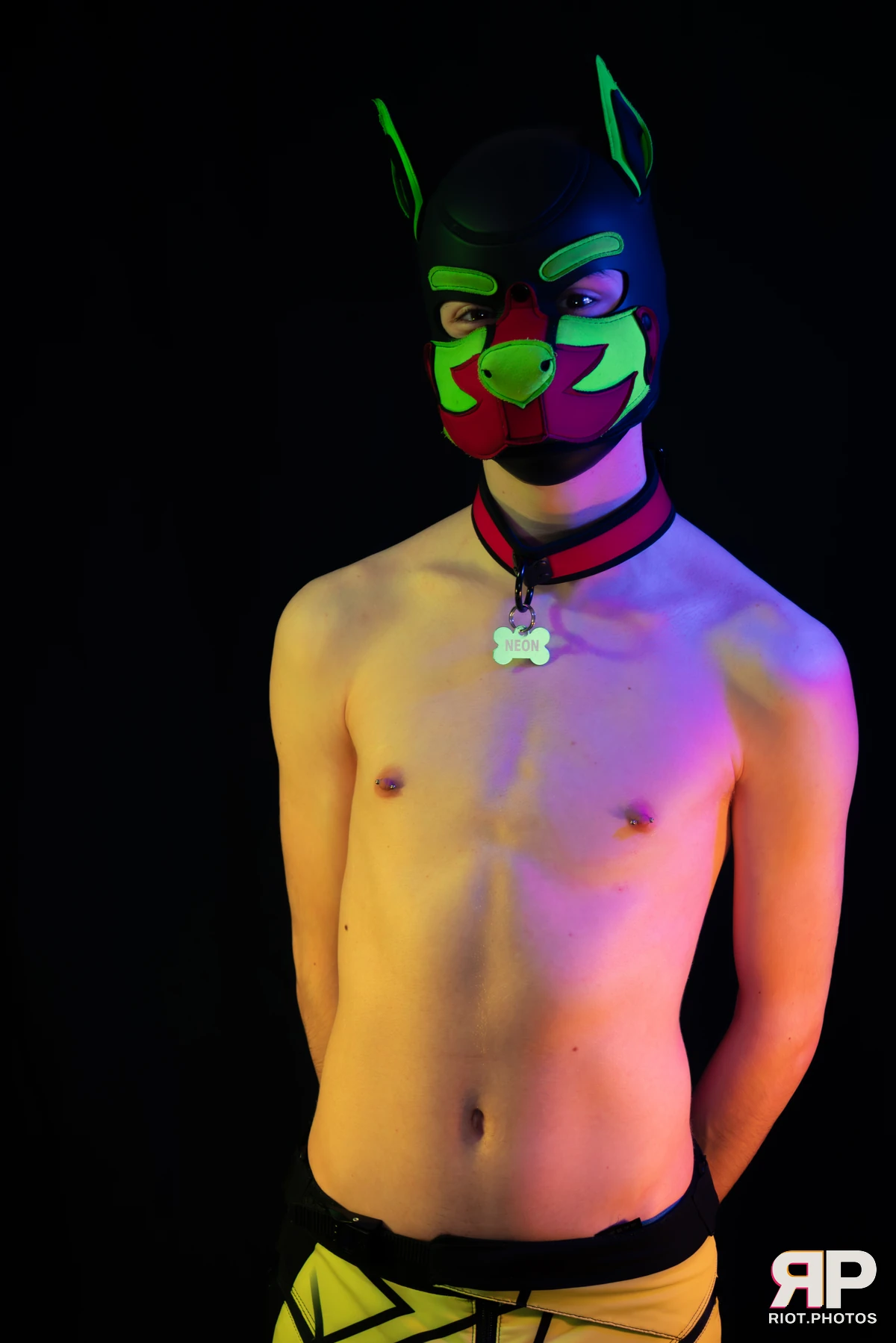 Neon Puppy — furry & pup photography by Fluffy Riot — photo 35