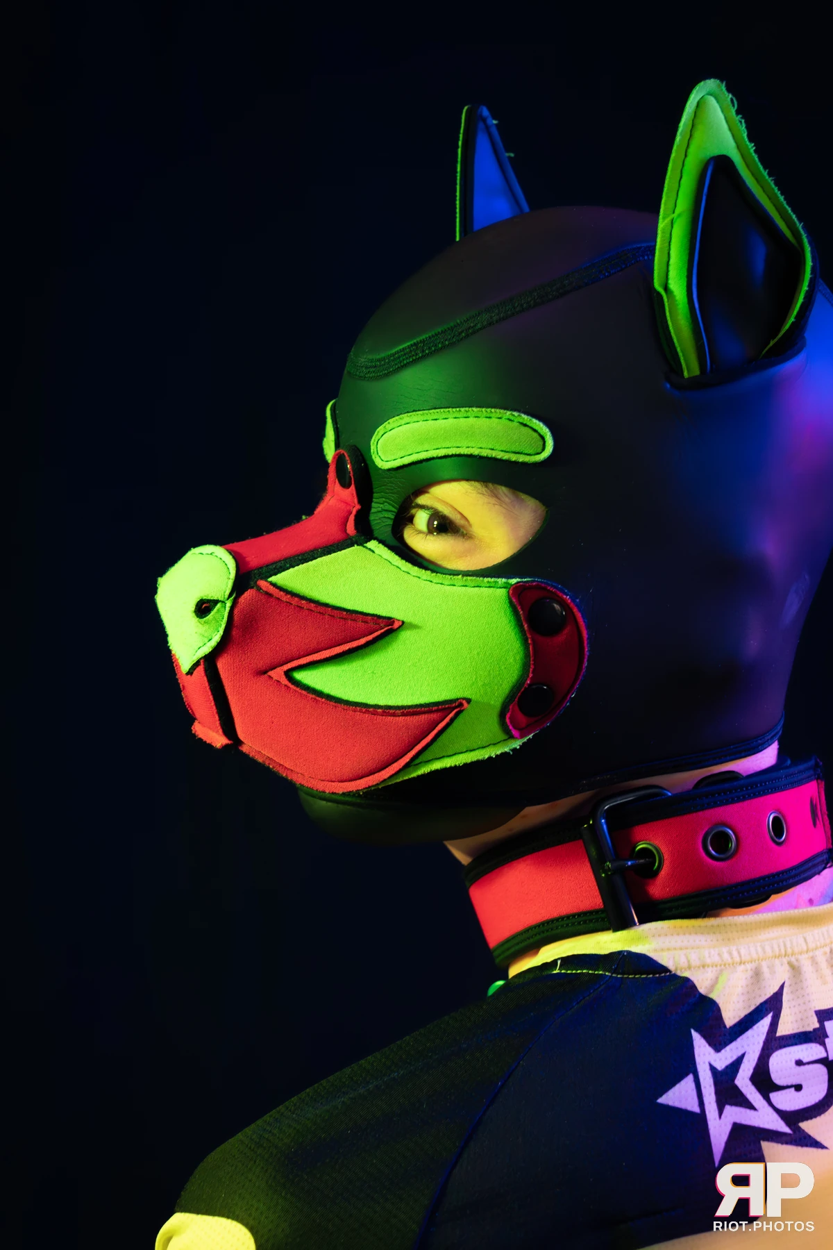 Neon Puppy — furry & pup photography by Fluffy Riot — photo 40