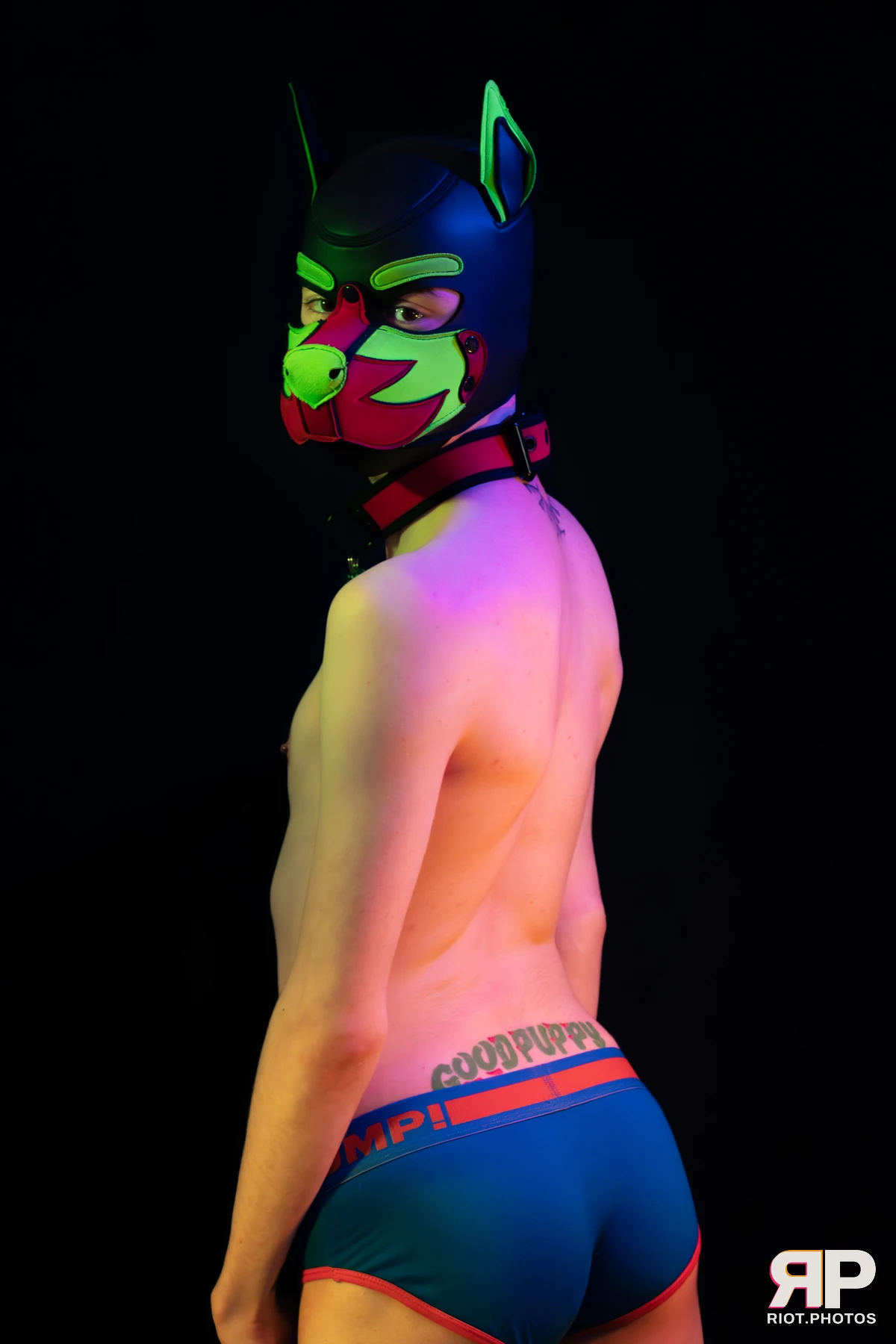Neon Puppy — furry & pup photography by Fluffy Riot — photo 51