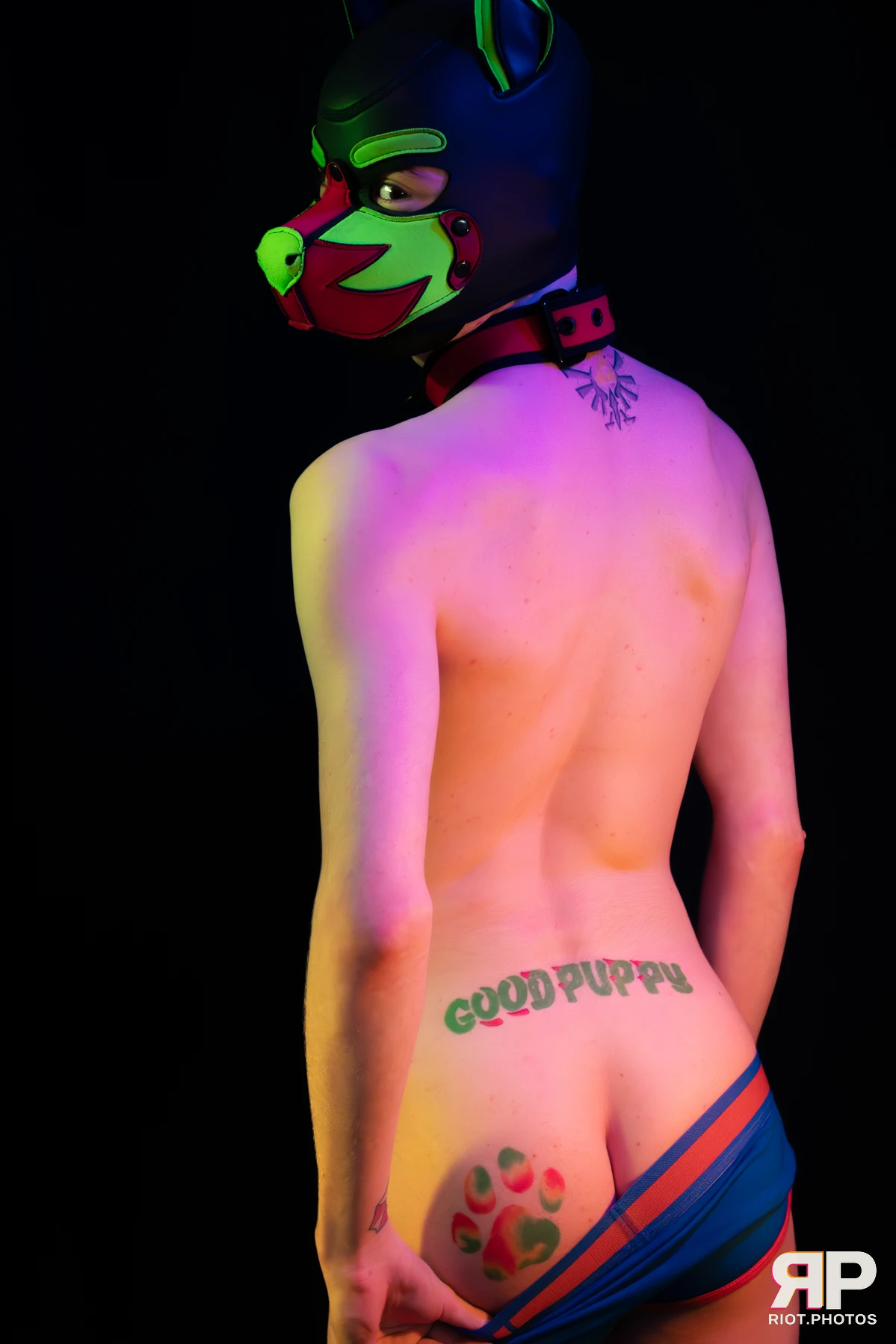 Neon Puppy — furry & pup photography by Fluffy Riot — photo 52