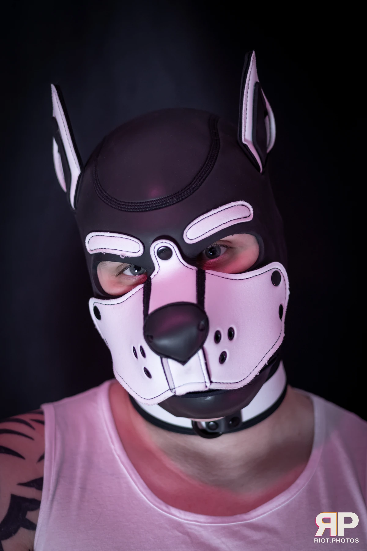 Taboo / Oni — furry & pup photography by Fluffy Riot — photo 2