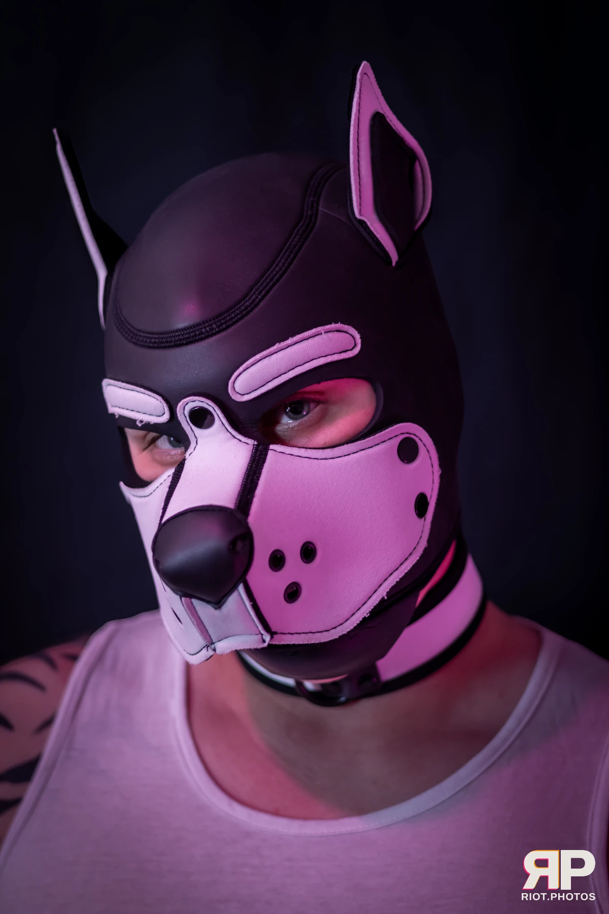 Taboo / Oni — furry & pup photography by Fluffy Riot — photo 10