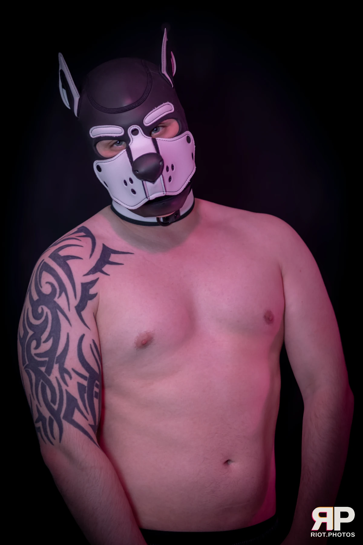 Taboo / Oni — furry & pup photography by Fluffy Riot — photo 11