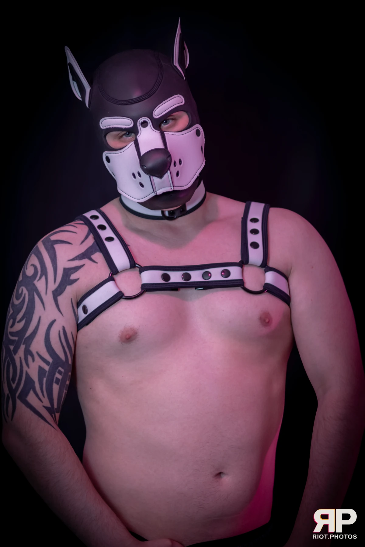 Taboo / Oni — furry & pup photography by Fluffy Riot — photo 13