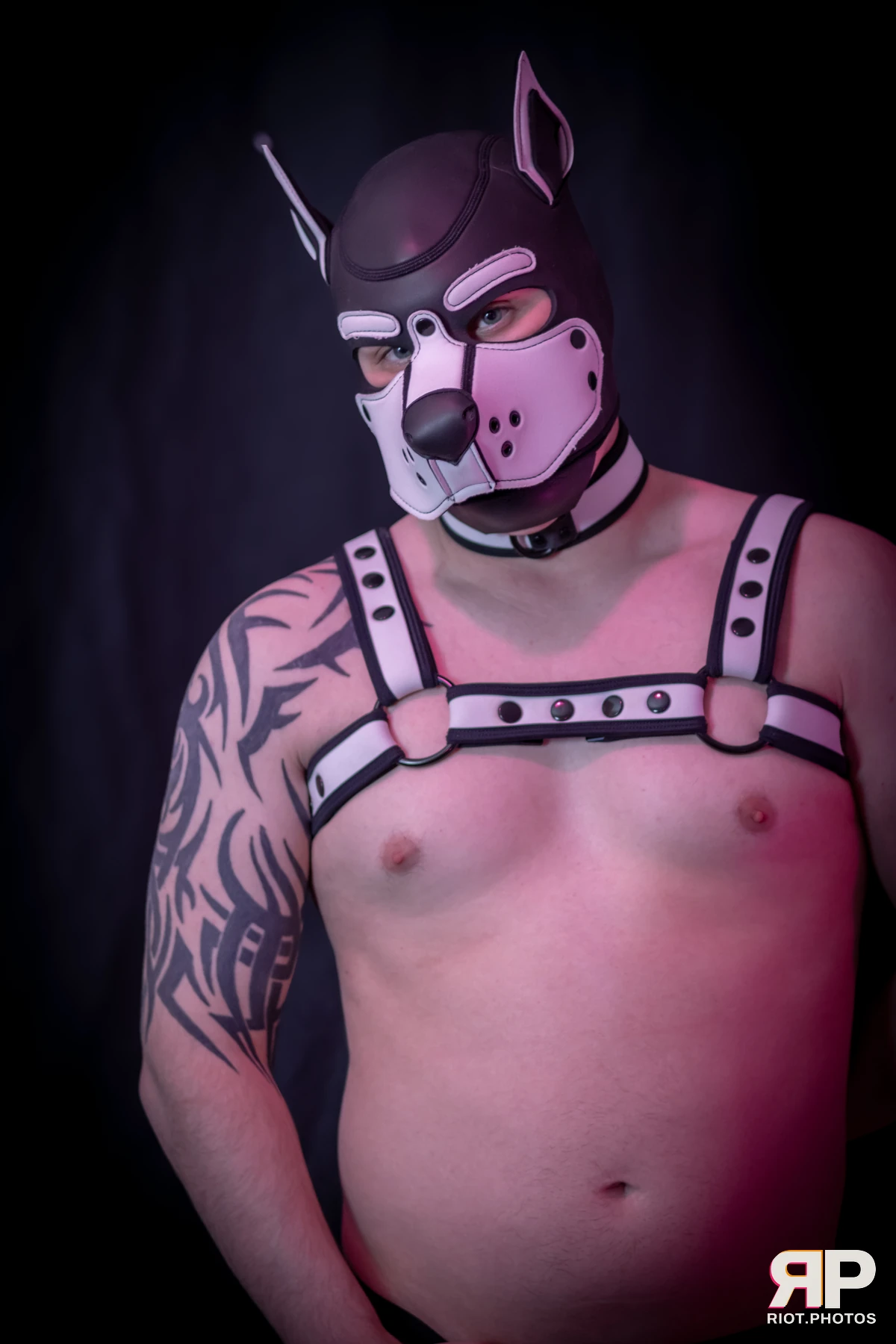 Taboo / Oni — furry & pup photography by Fluffy Riot — photo 14