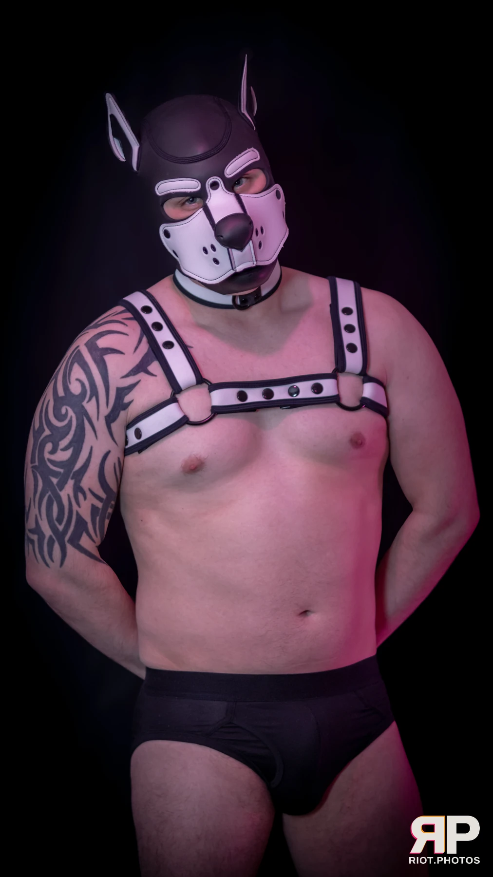 Taboo / Oni — furry & pup photography by Fluffy Riot — photo 16
