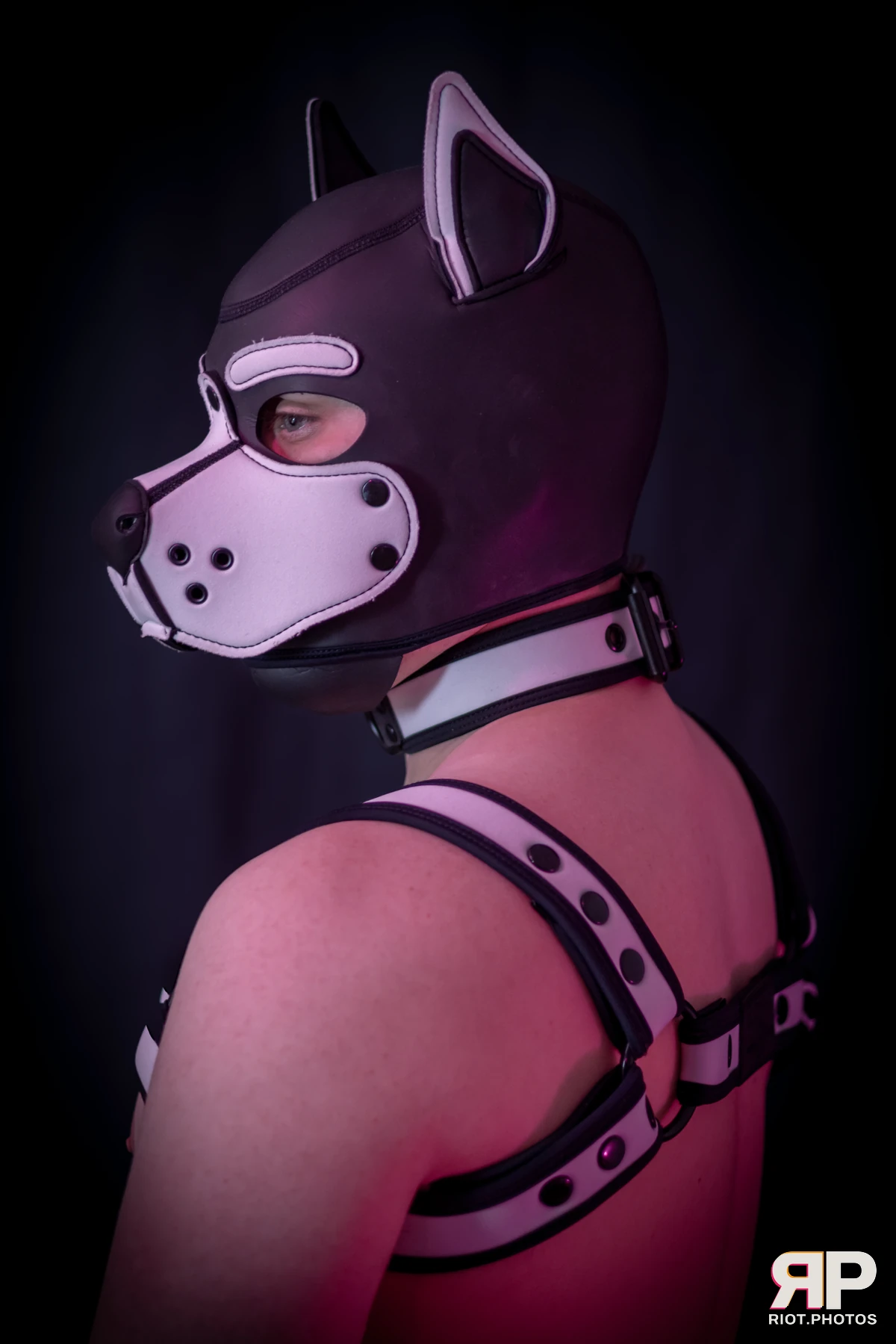 Taboo / Oni — furry & pup photography by Fluffy Riot — photo 18