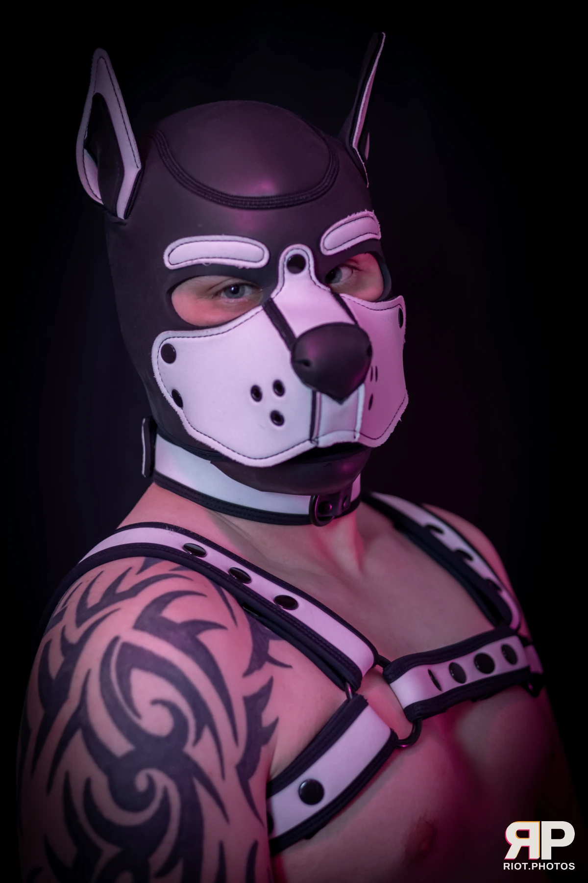 Taboo / Oni — furry & pup photography by Fluffy Riot — photo 19