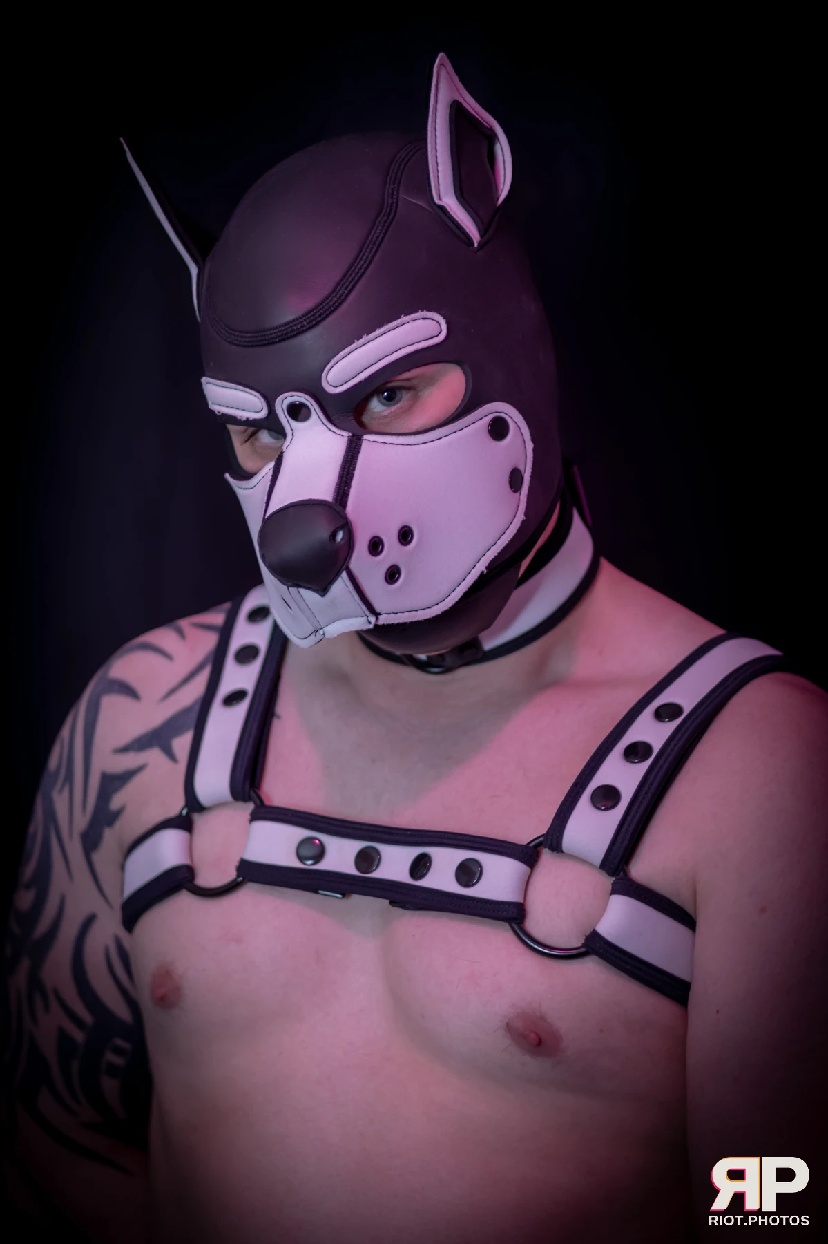 Taboo / Oni — furry & pup photography by Fluffy Riot — photo 22