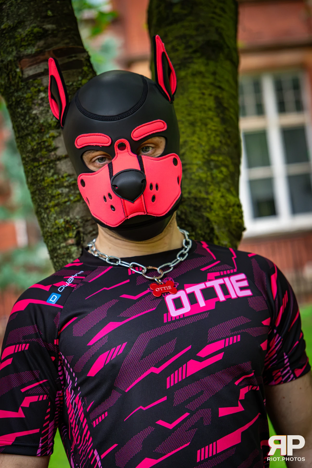 Doggy Weekend 2026 - 18 Oct 2026, Fluffy Riot photography - photo 623