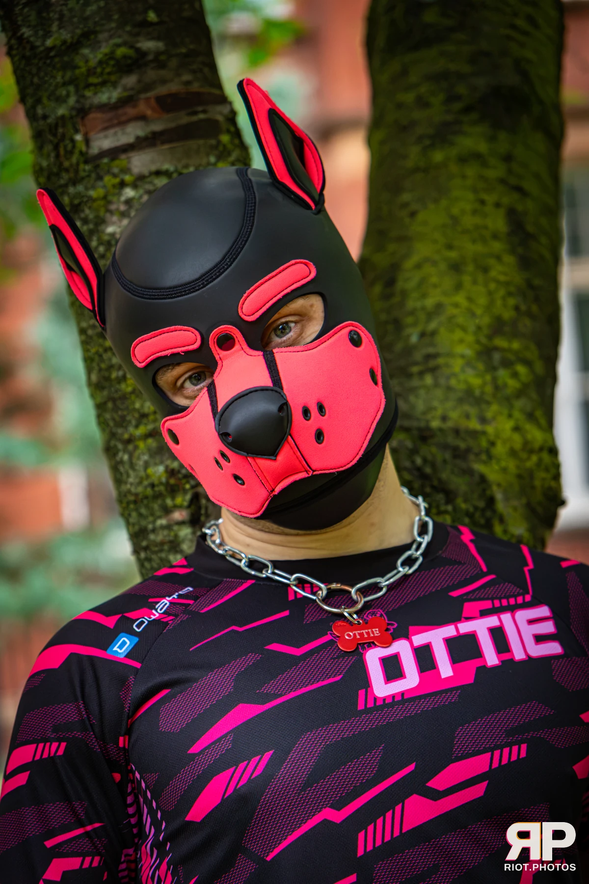 Doggy Weekend 2026 - 18 Oct 2026, Fluffy Riot photography - photo 622