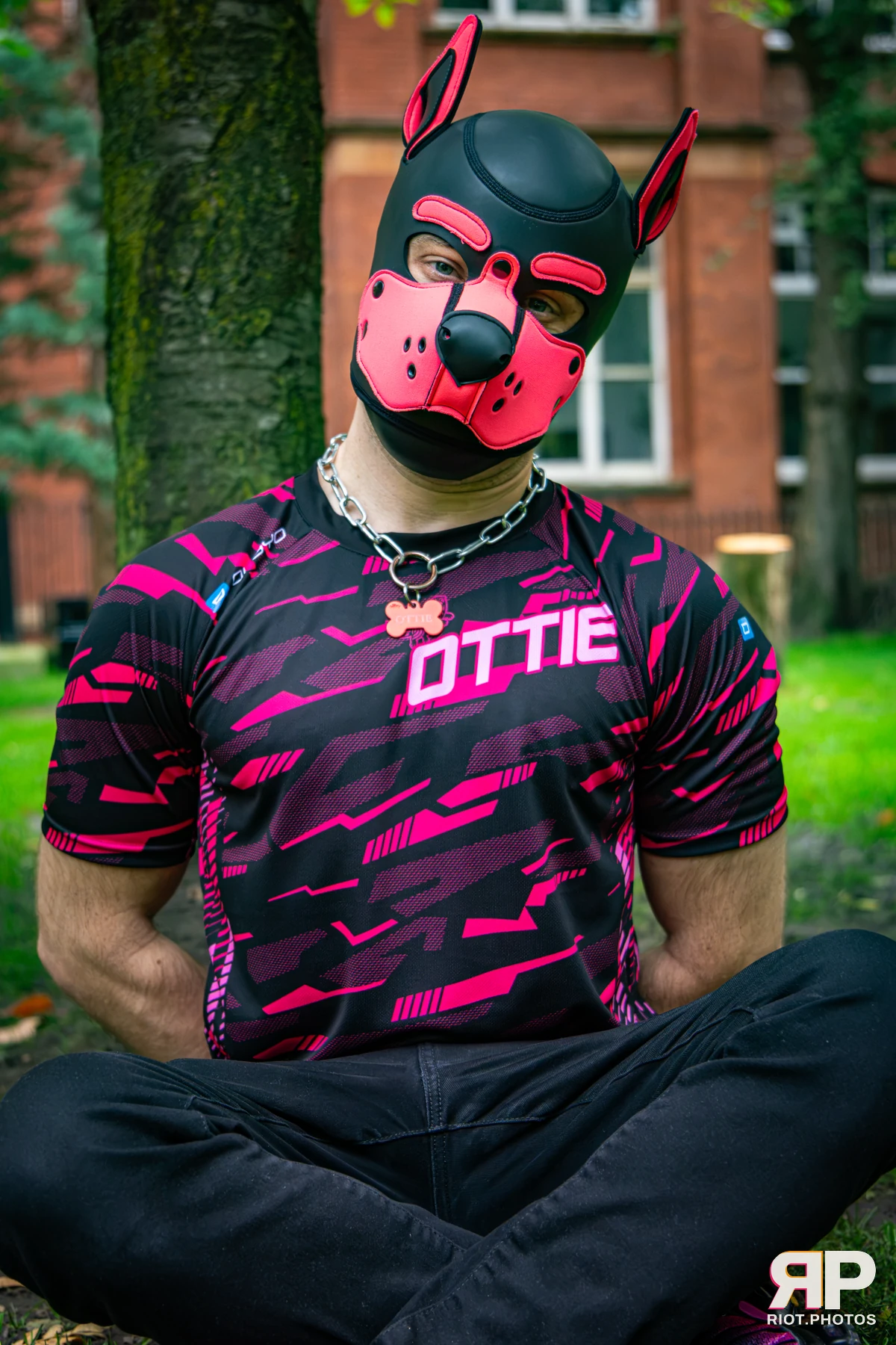 Doggy Weekend 2026 - 18 Oct 2026, Fluffy Riot photography - photo 620