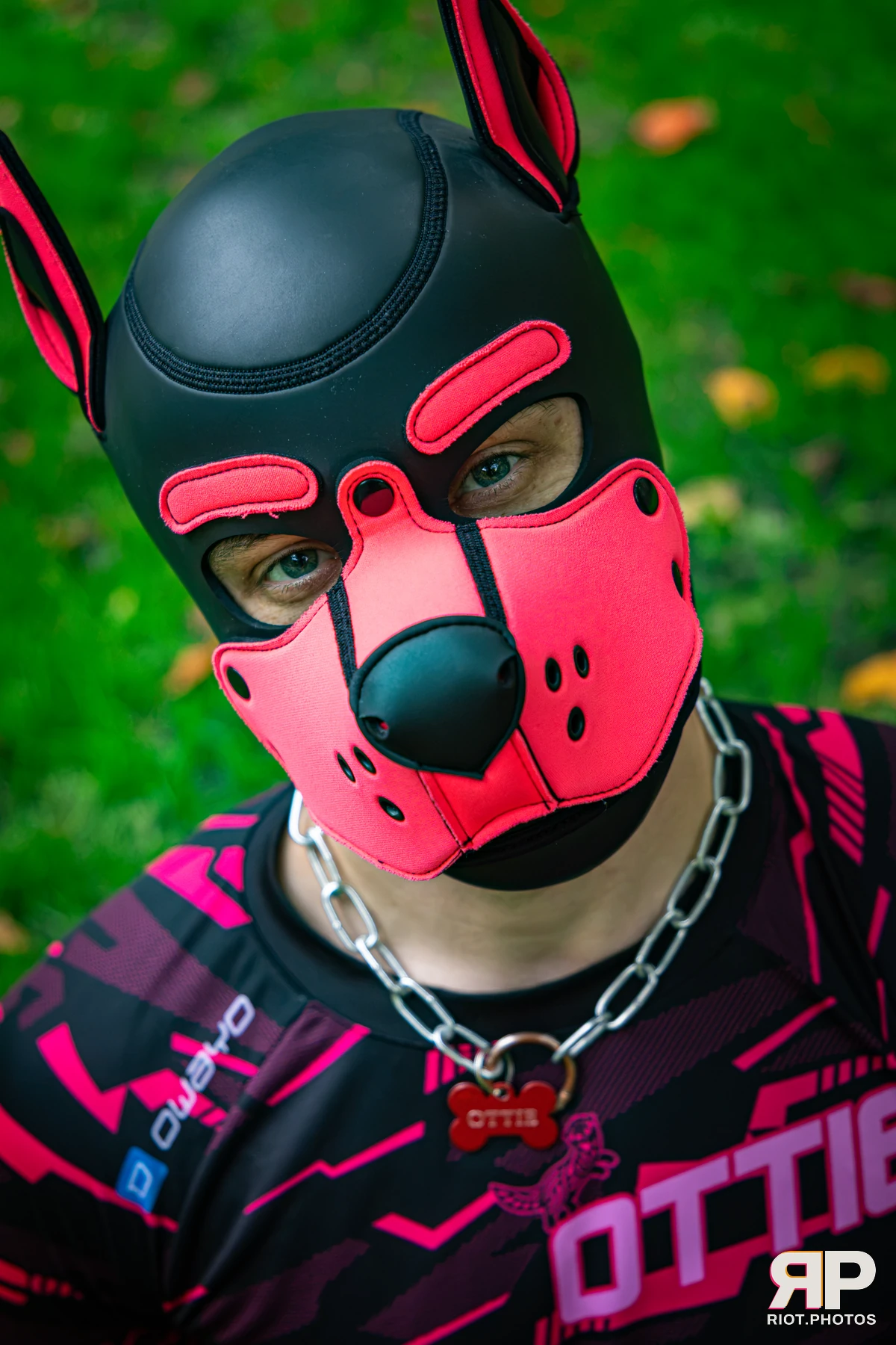 Doggy Weekend 2026 - 18 Oct 2026, Fluffy Riot photography - photo 619