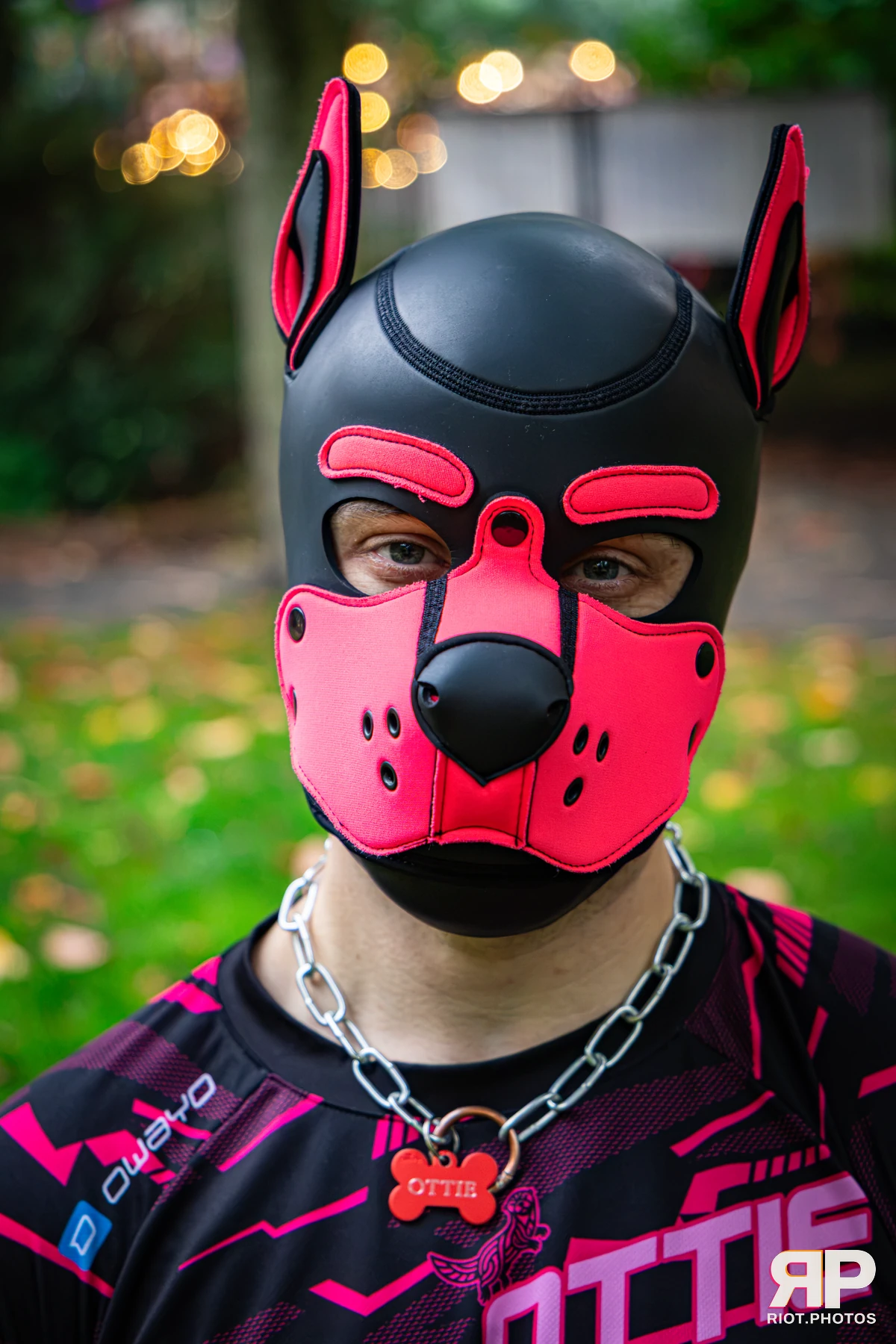 Doggy Weekend 2026 - 18 Oct 2026, Fluffy Riot photography - photo 618