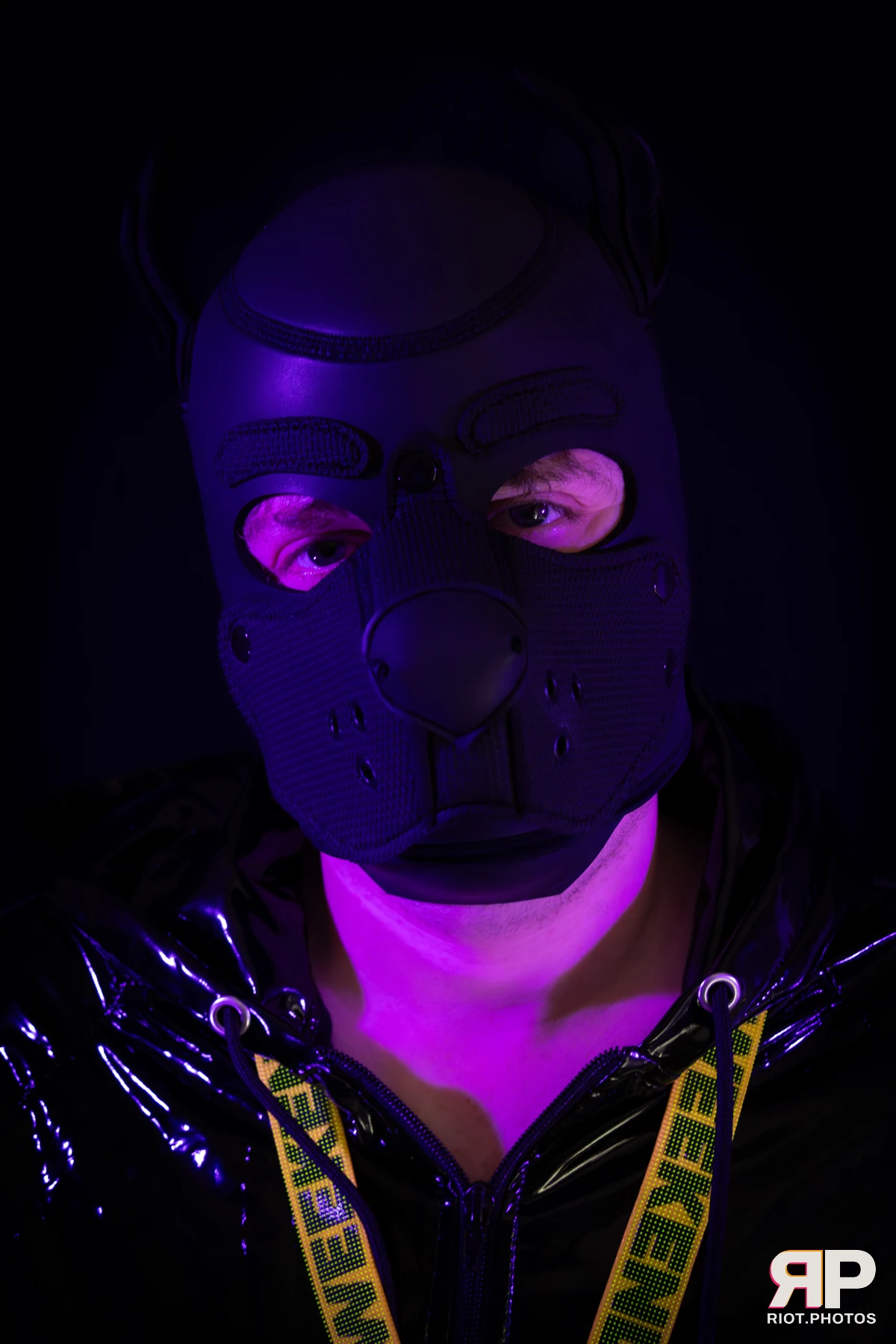 Pup Abraxis — furry & pup photography by Fluffy Riot — photo 3