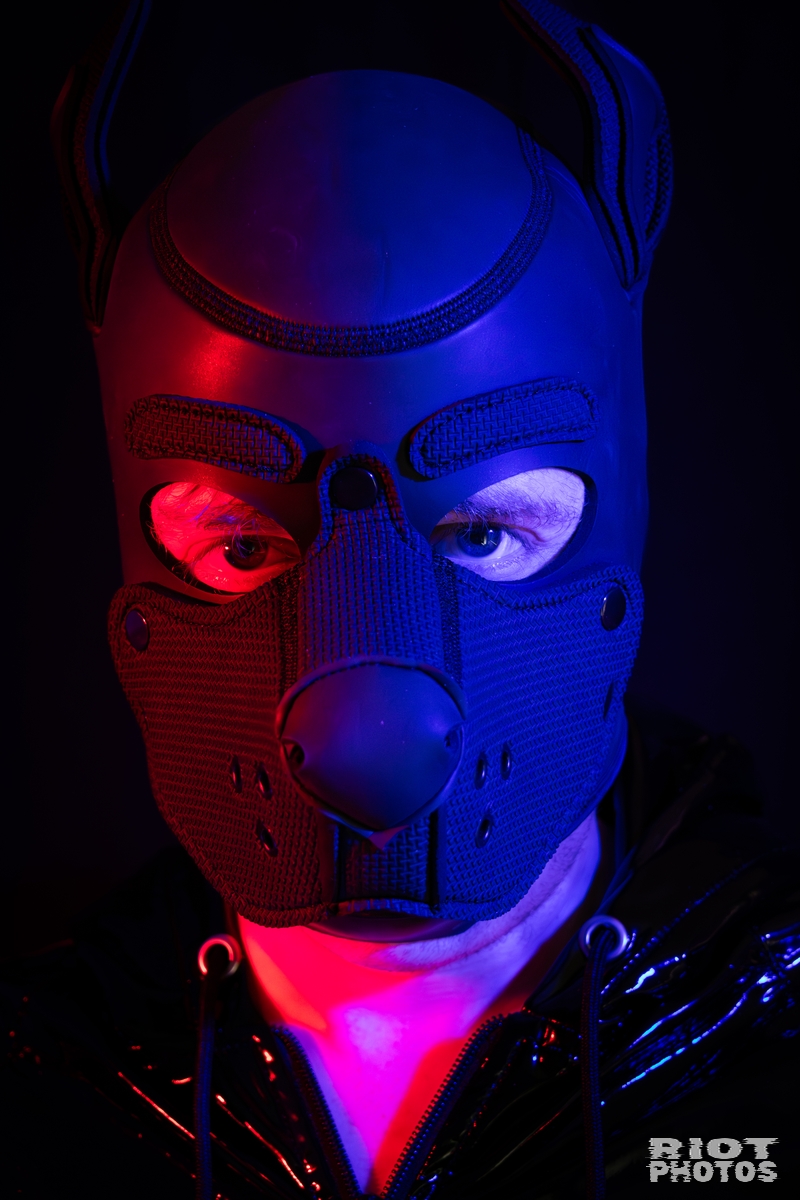 Pup Abraxis