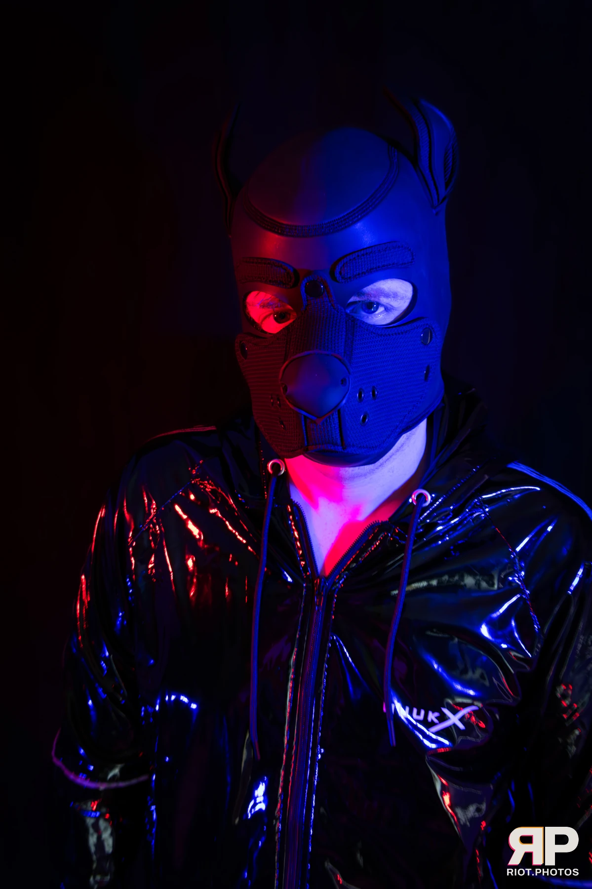 Pup Abraxis — furry & pup photography by Fluffy Riot — photo 9