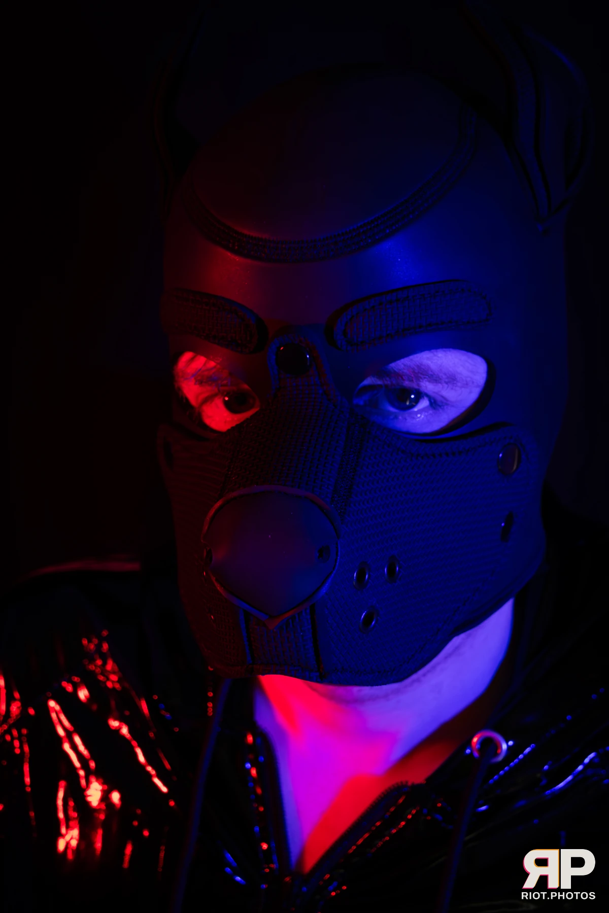 Pup Abraxis — furry & pup photography by Fluffy Riot — photo 10