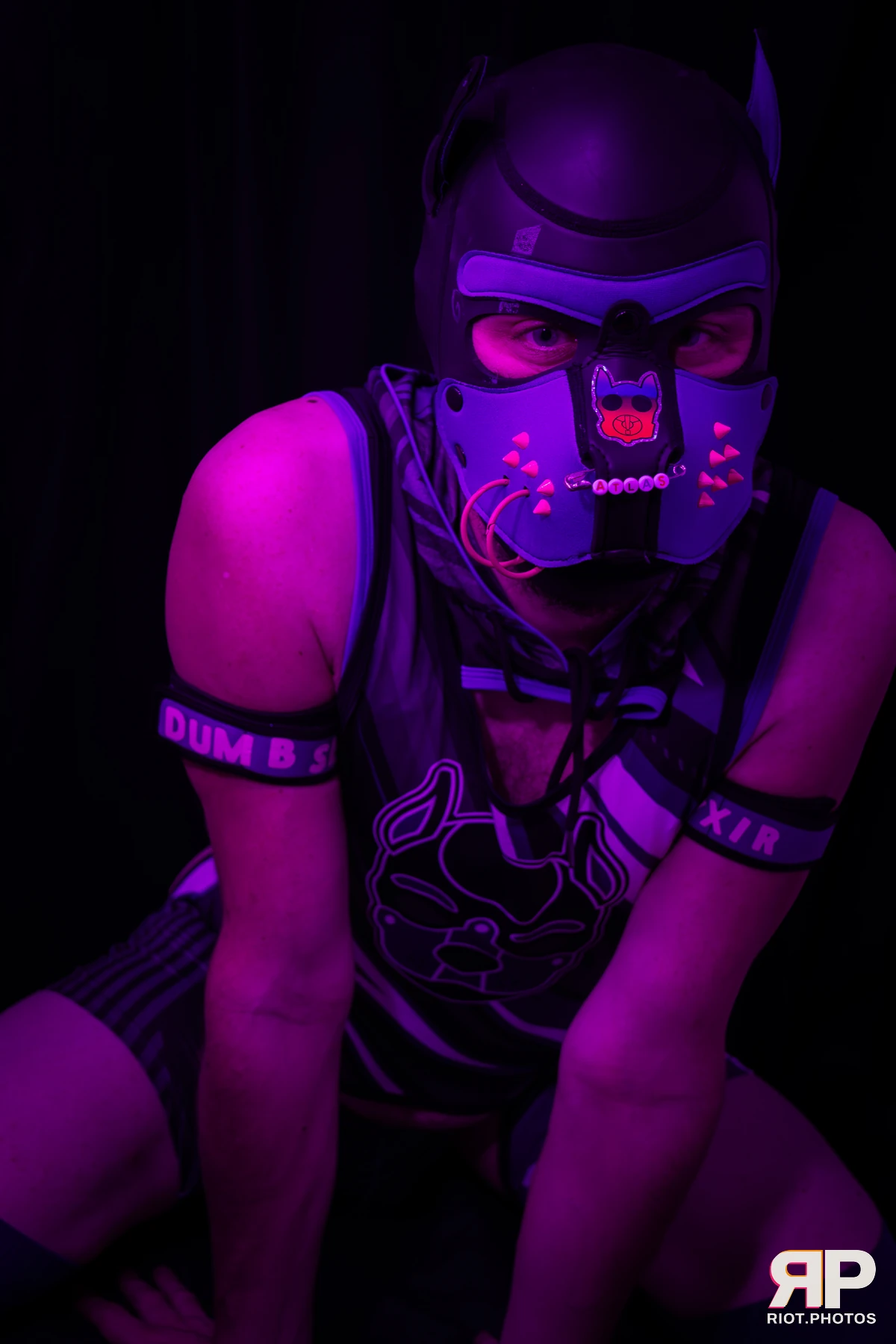 Atlas — furry & pup photography by Fluffy Riot — photo 16