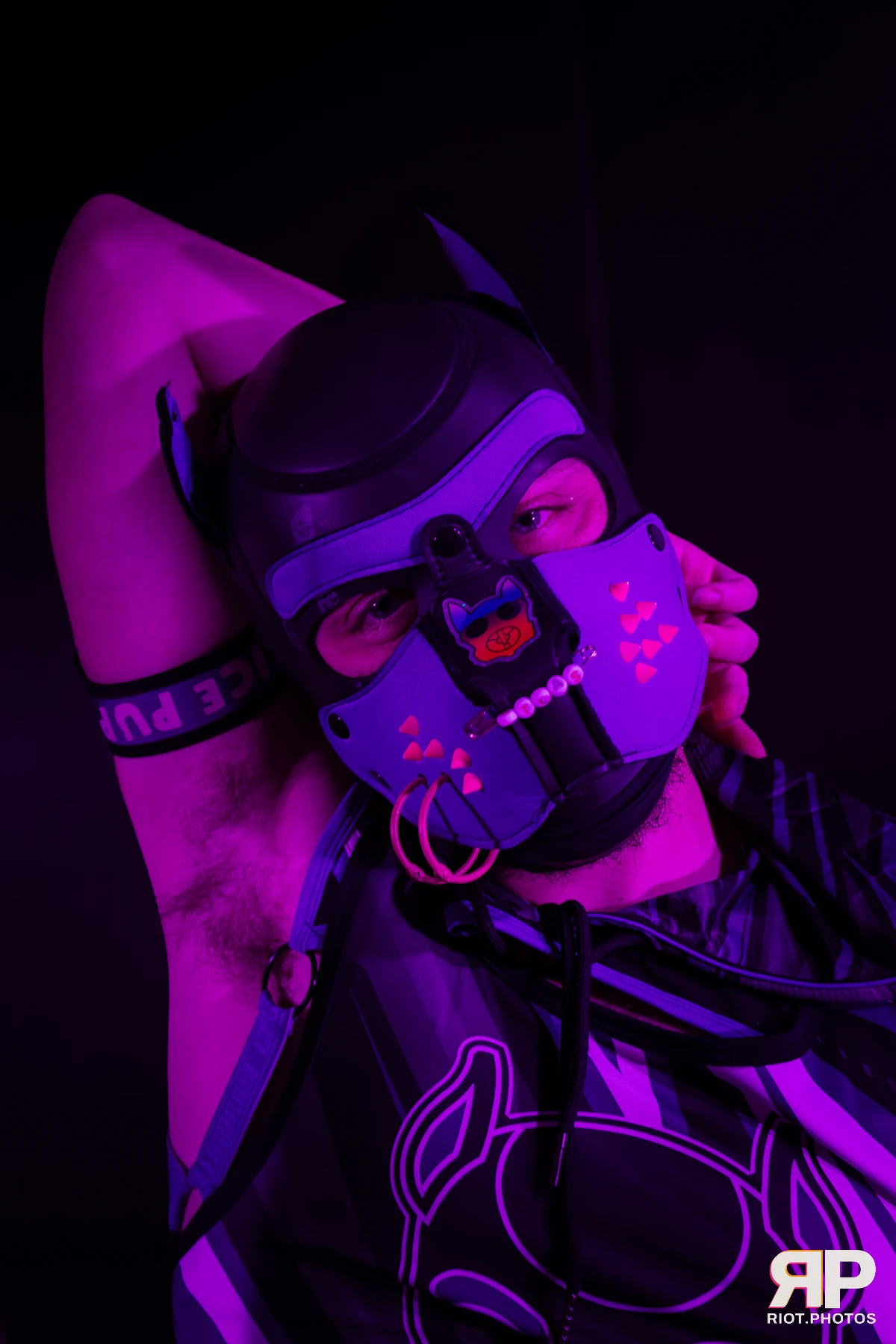 Atlas — furry & pup photography by Fluffy Riot — photo 21