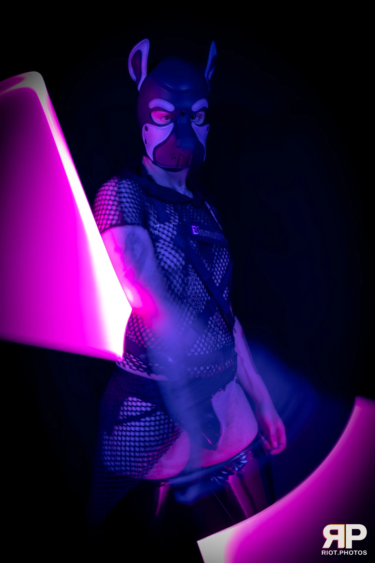 Pup Bismuth — furry & pup photography by Fluffy Riot — photo 27