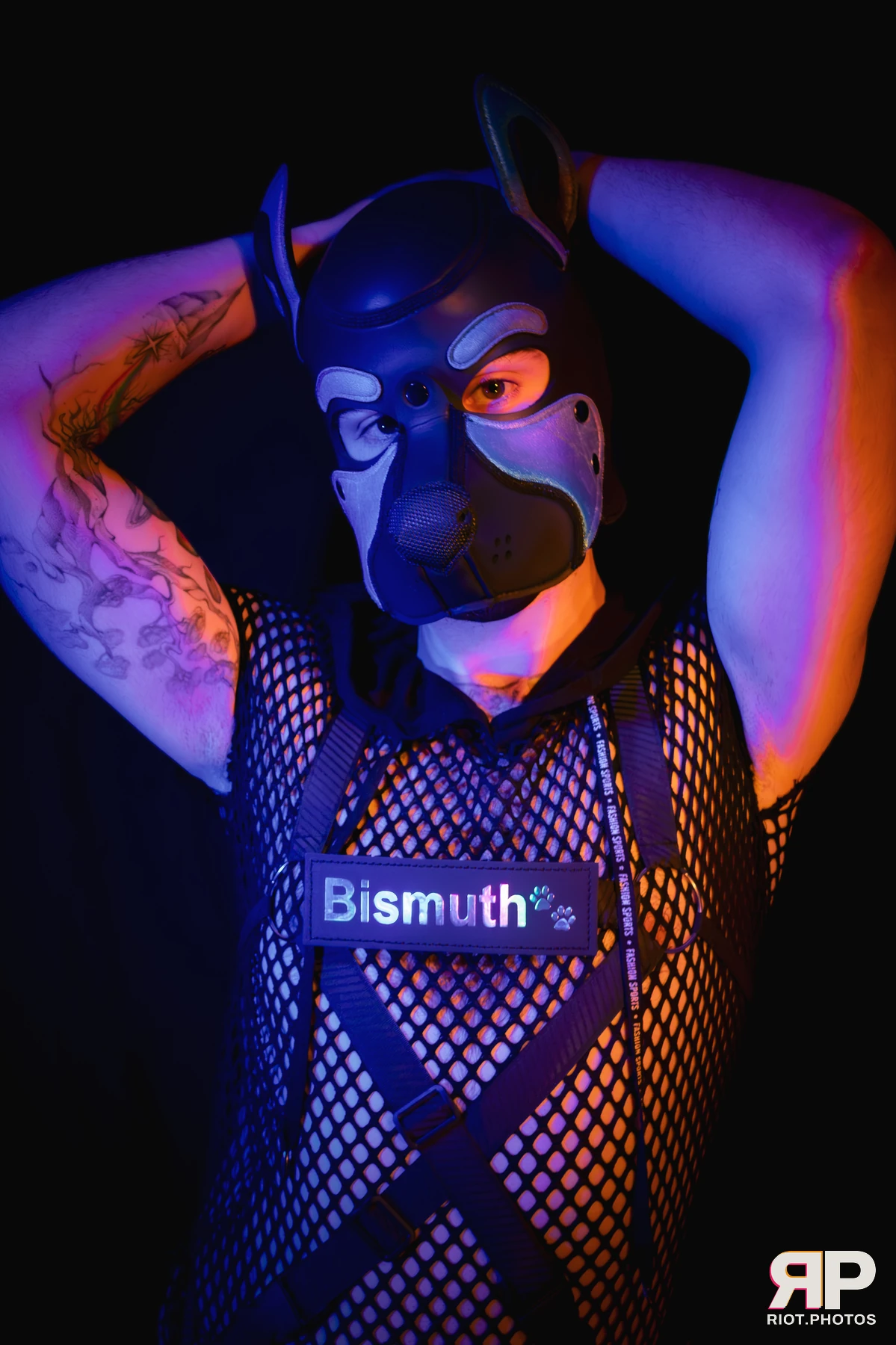 Pup Bismuth — furry & pup photography by Fluffy Riot — photo 30
