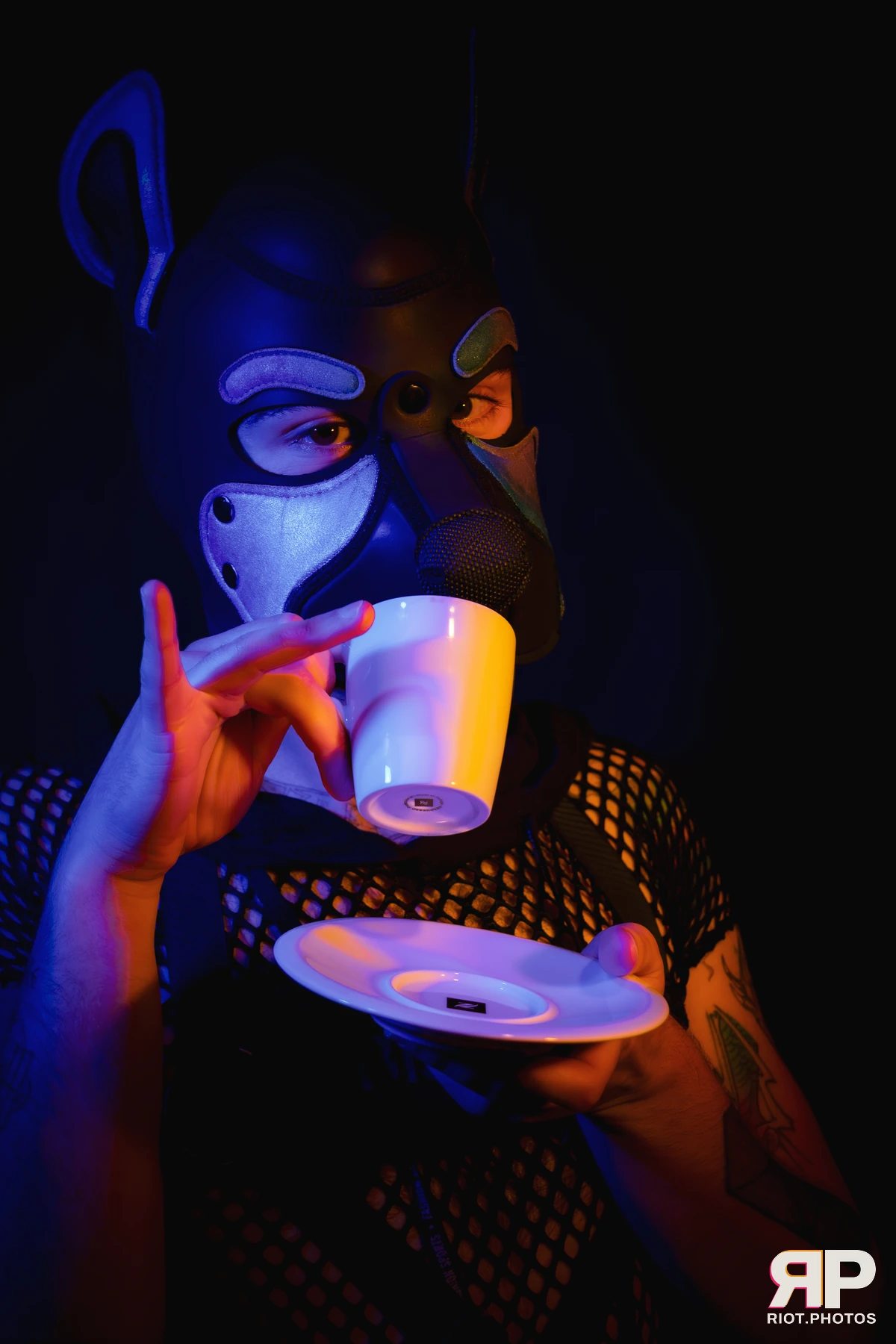 Pup Bismuth — furry & pup photography by Fluffy Riot — photo 35