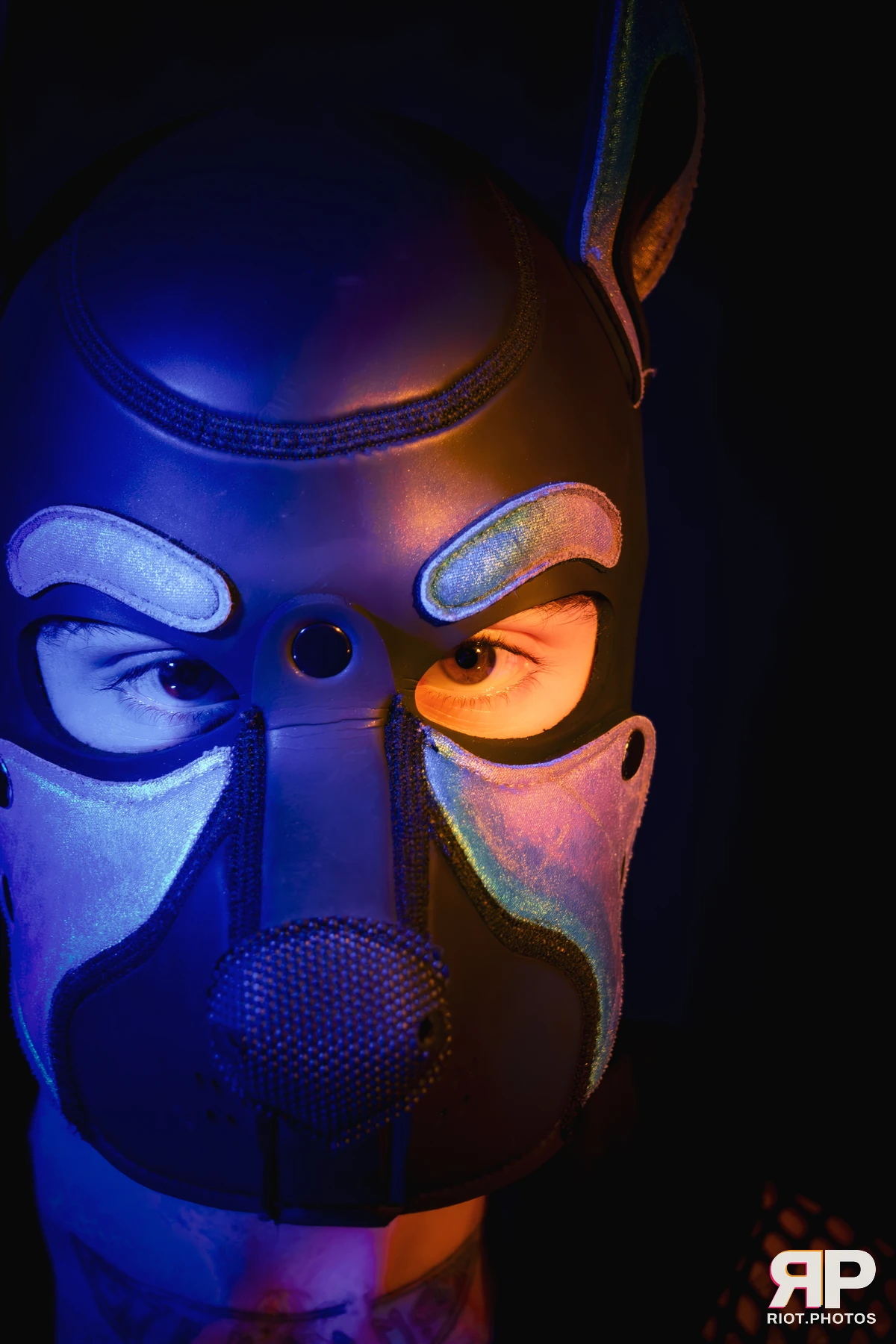 Pup Bismuth — furry & pup photography by Fluffy Riot — photo 37