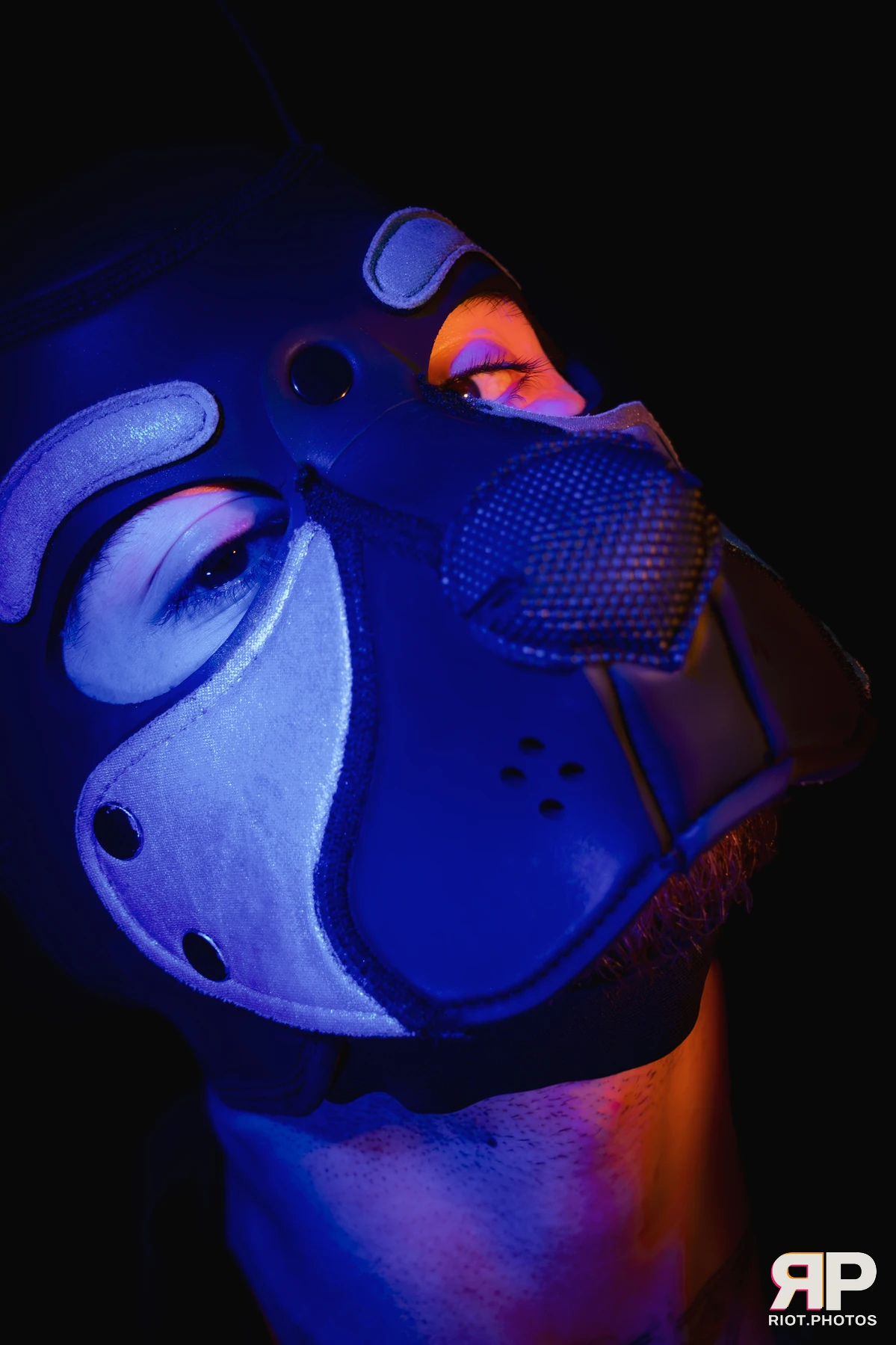 Pup Bismuth — furry & pup photography by Fluffy Riot — photo 38