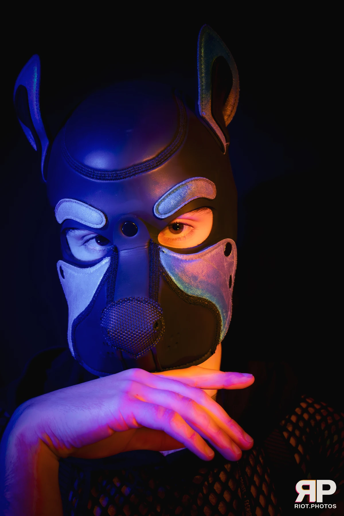 Pup Bismuth — furry & pup photography by Fluffy Riot — photo 39