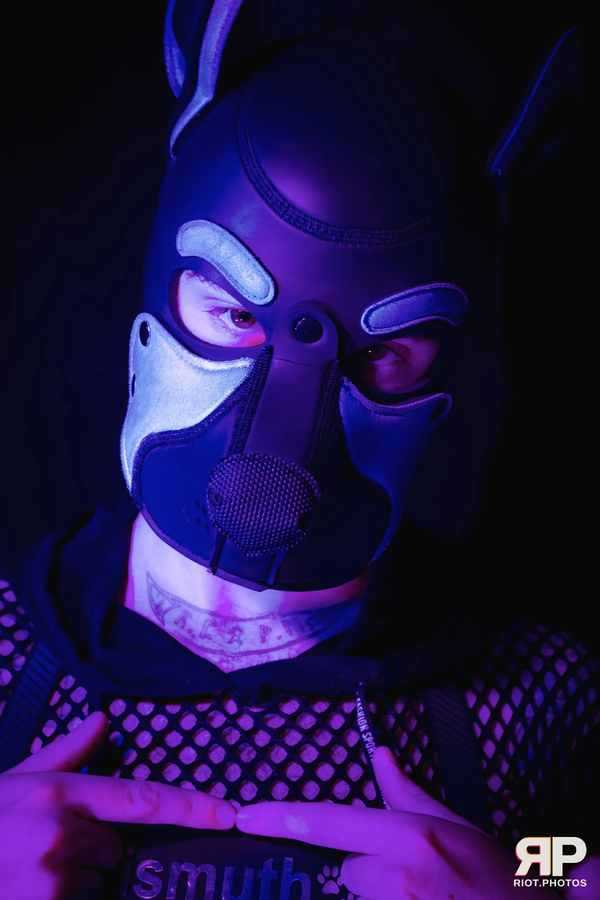 Pup Bismuth — furry & pup photography by Fluffy Riot — photo 46