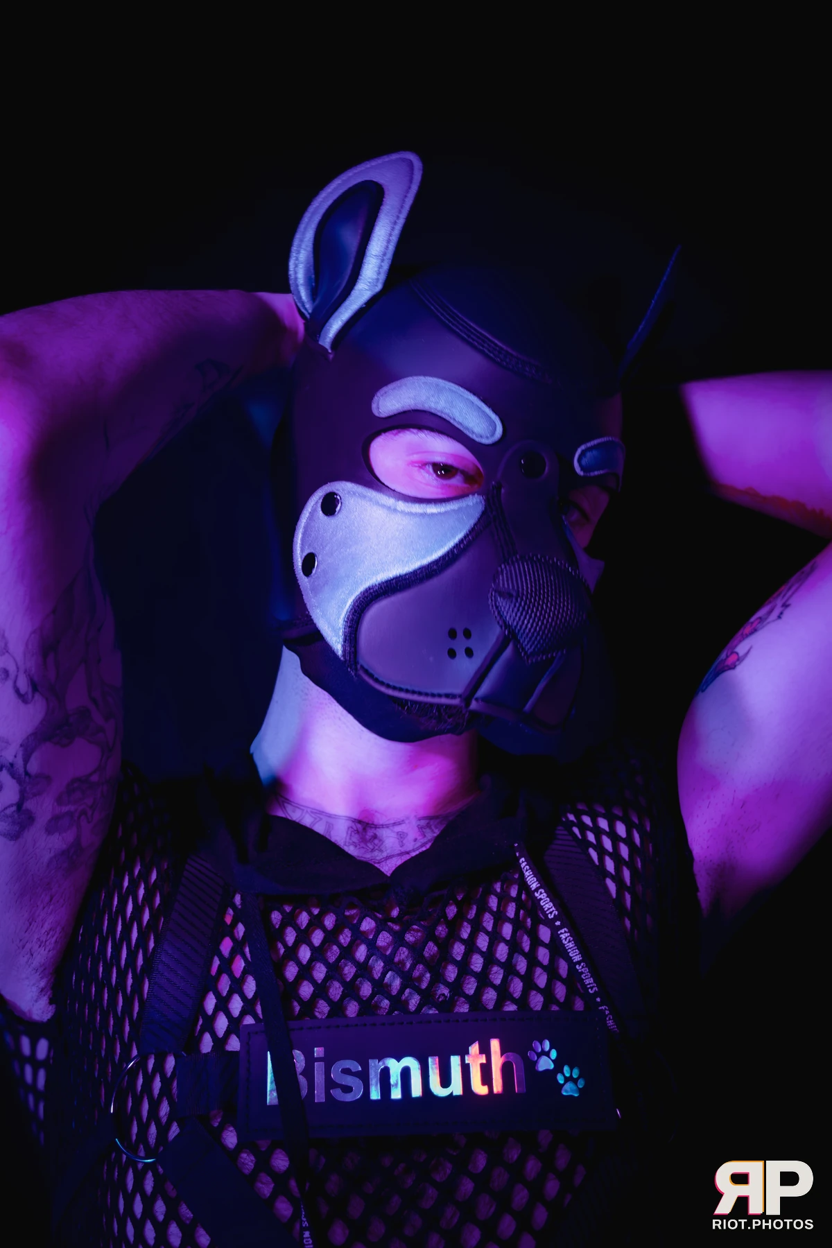 Pup Bismuth — furry & pup photography by Fluffy Riot — photo 47