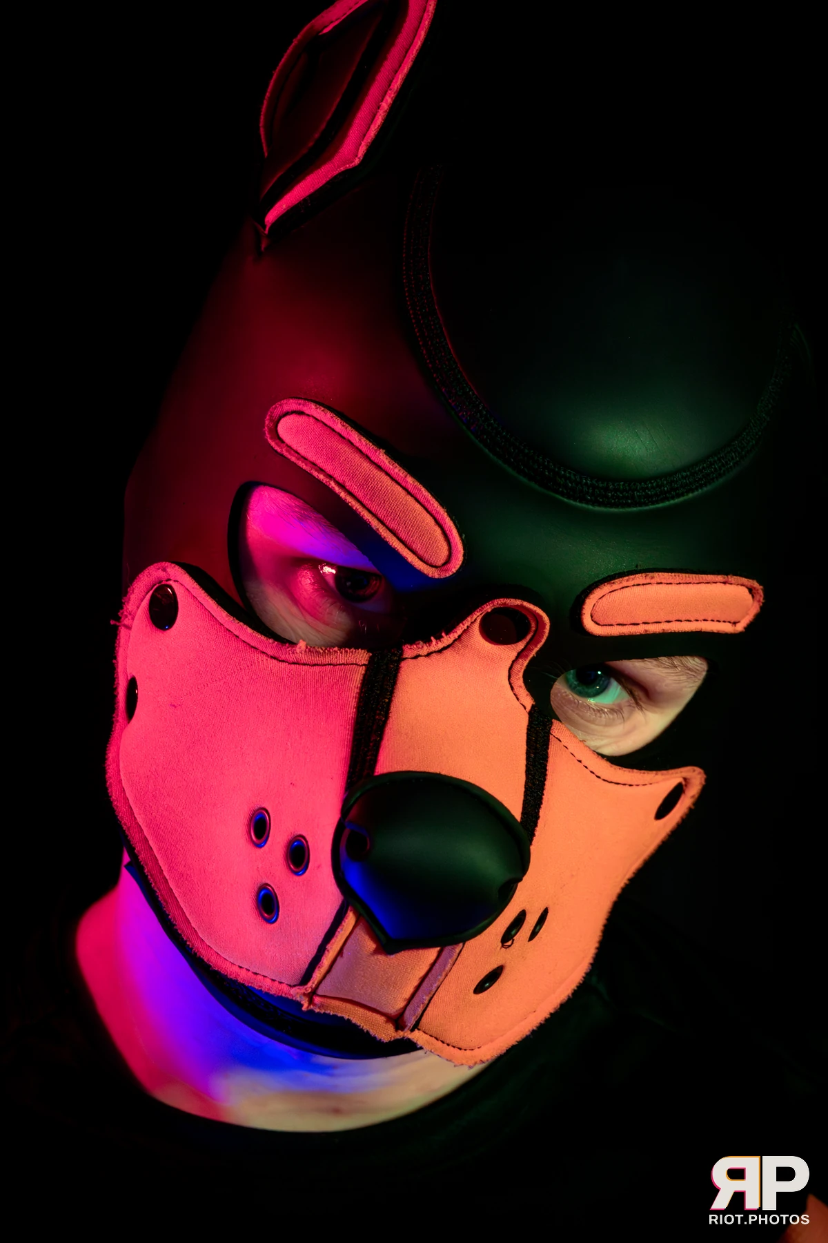 Pup Colossos