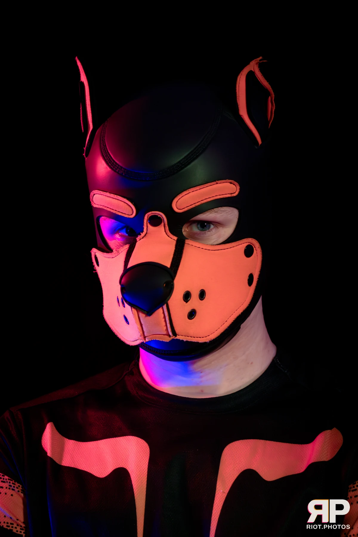 Pup Colossos — furry & pup photography by Fluffy Riot — photo 38