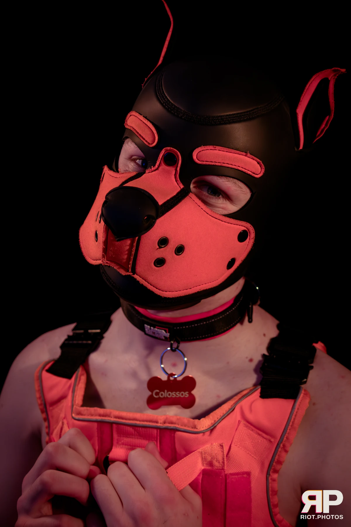 Pup Colossos — furry & pup photography by Fluffy Riot — photo 77