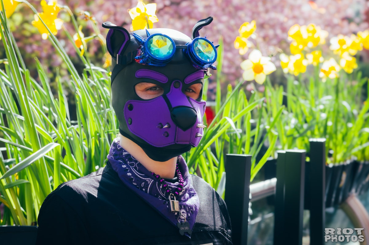 Pup Damien