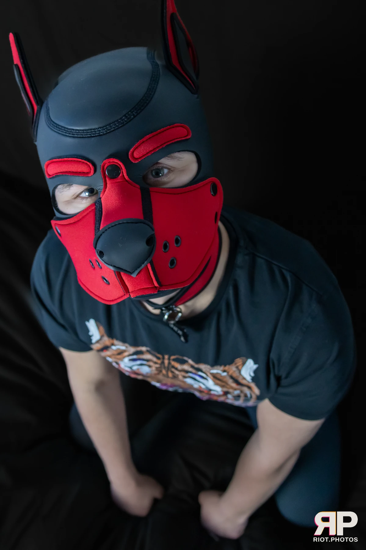 Pup Dande — furry & pup photography by Fluffy Riot — photo 92