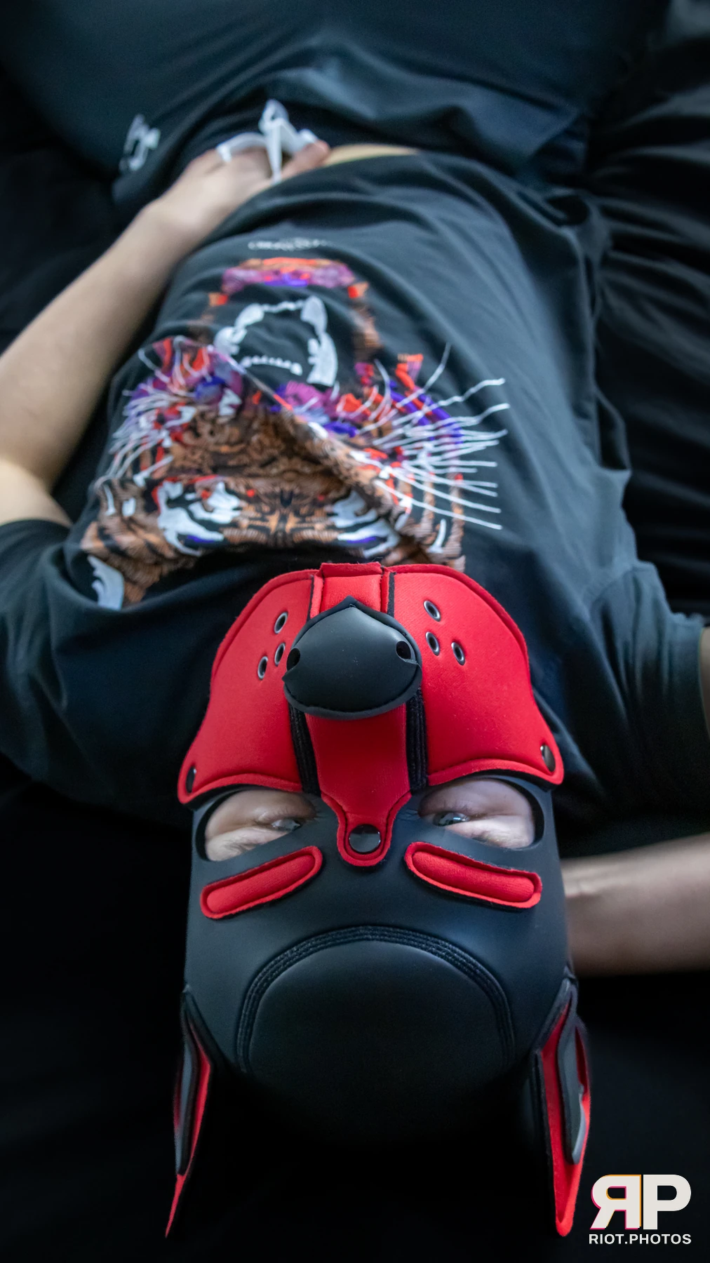 Pup Dande — furry & pup photography by Fluffy Riot — photo 93