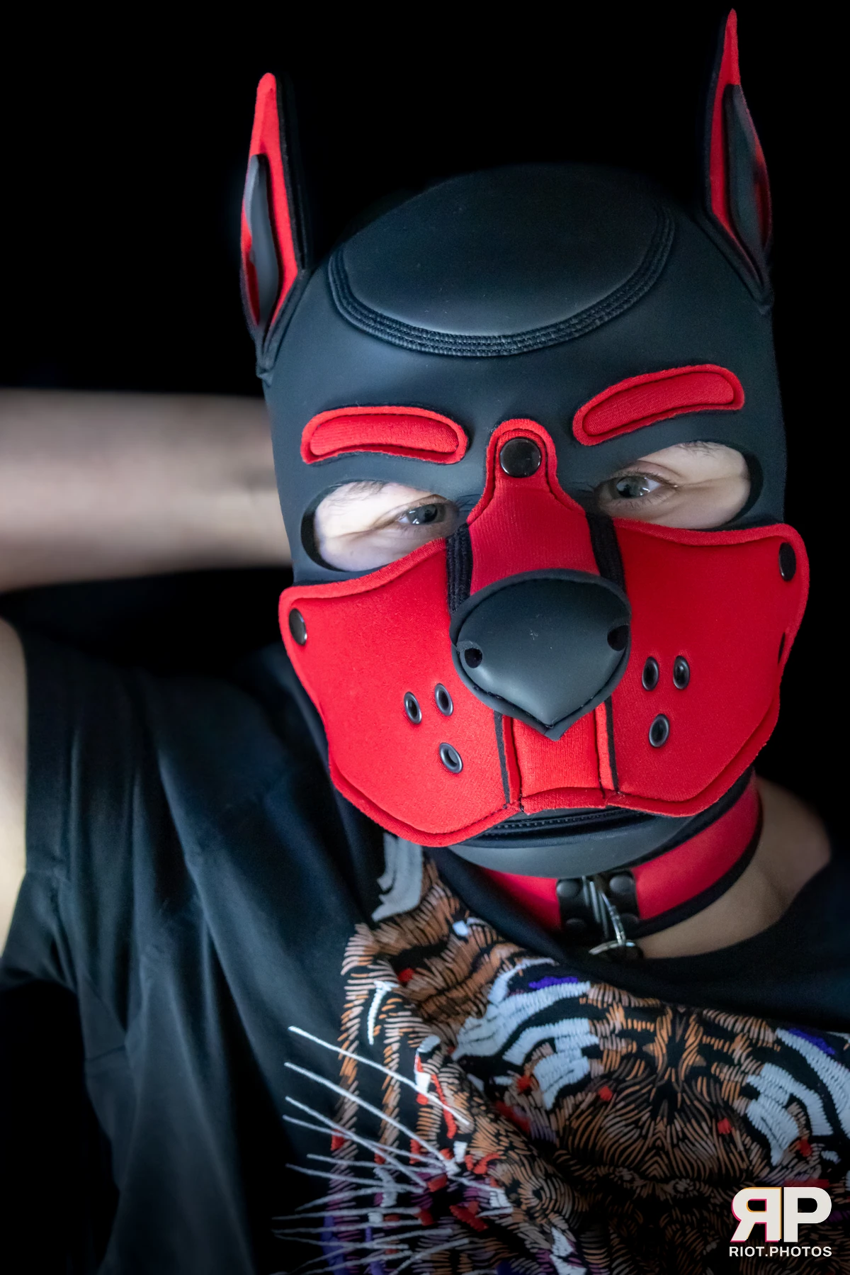 Pup Dande — furry & pup photography by Fluffy Riot — photo 94
