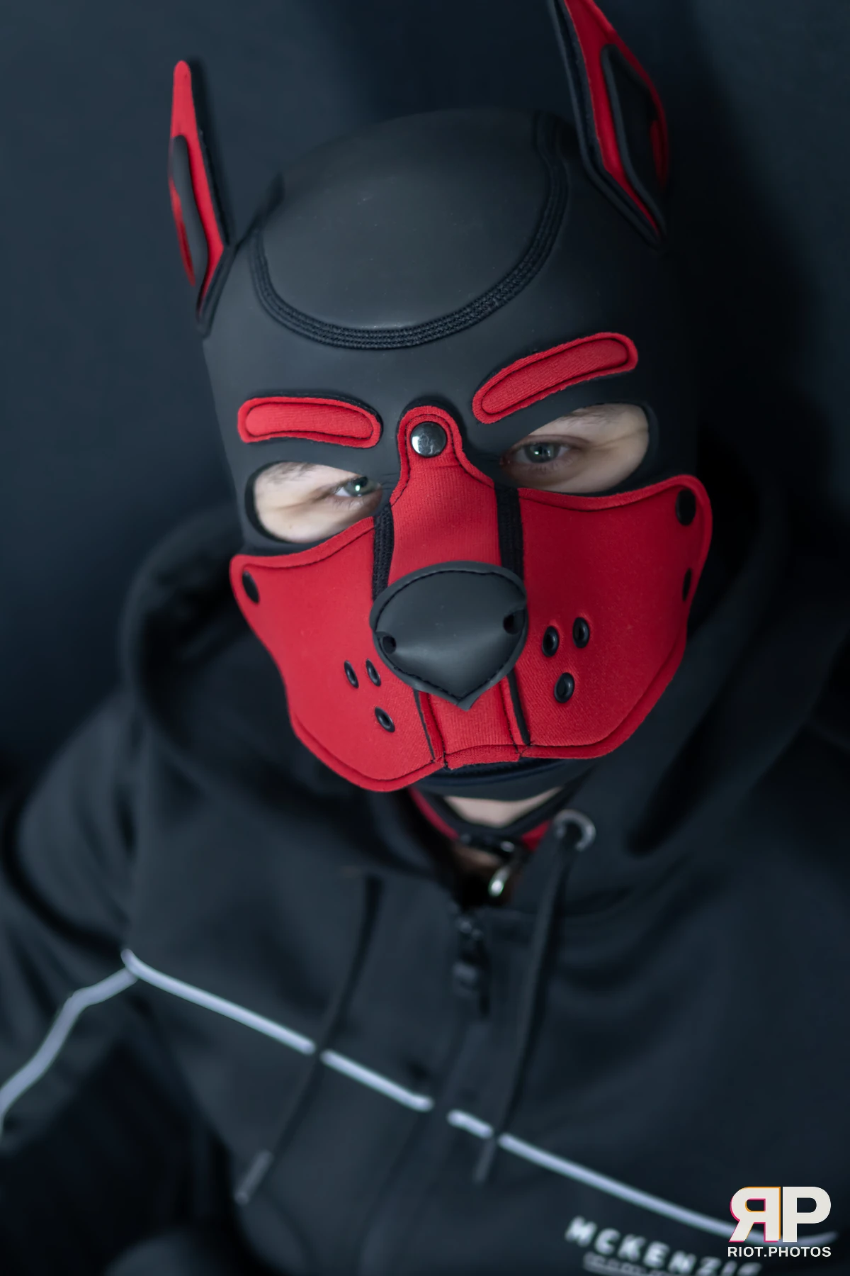 Pup Dande — furry & pup photography by Fluffy Riot — photo 96