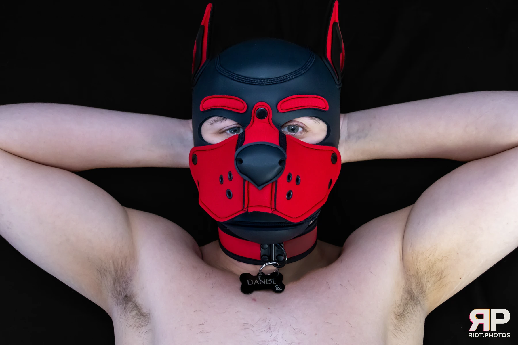 Pup Dande — furry & pup photography by Fluffy Riot — photo 108