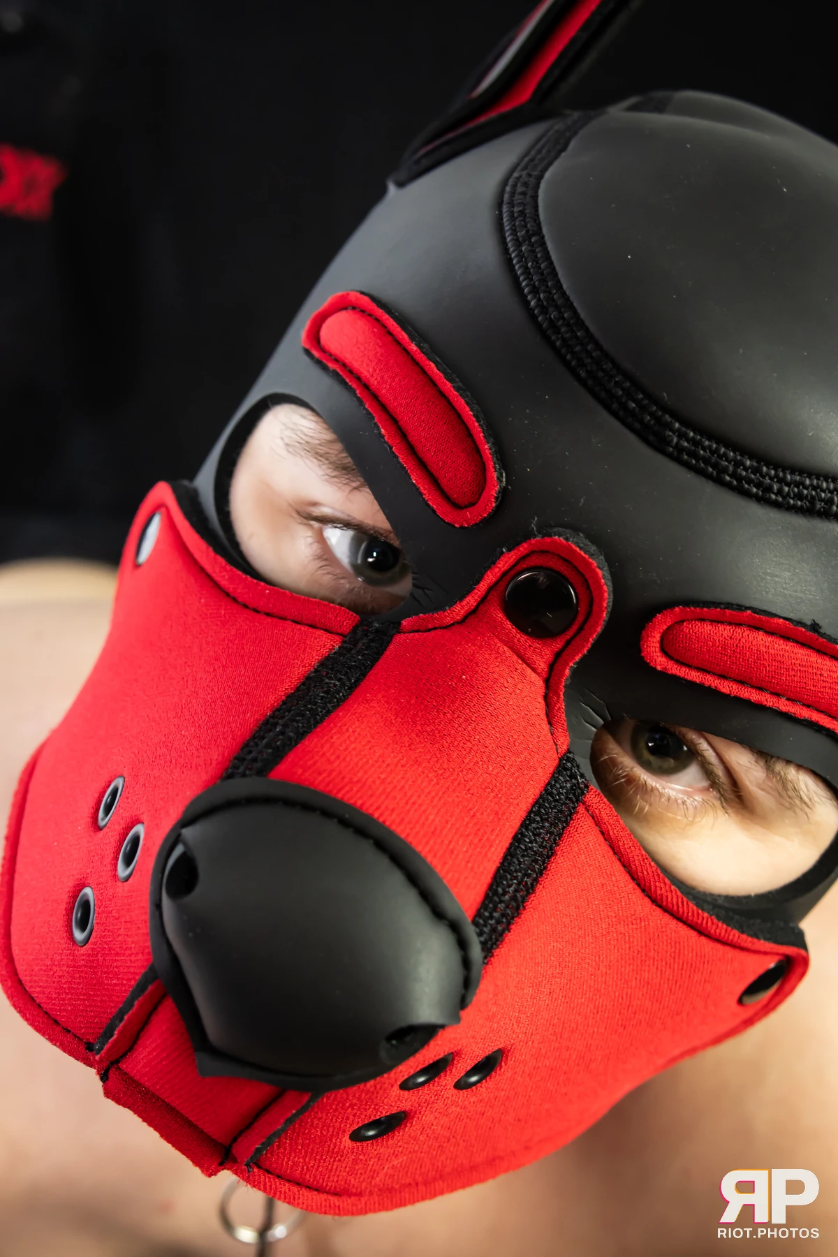 Pup Dande — furry & pup photography by Fluffy Riot — photo 110